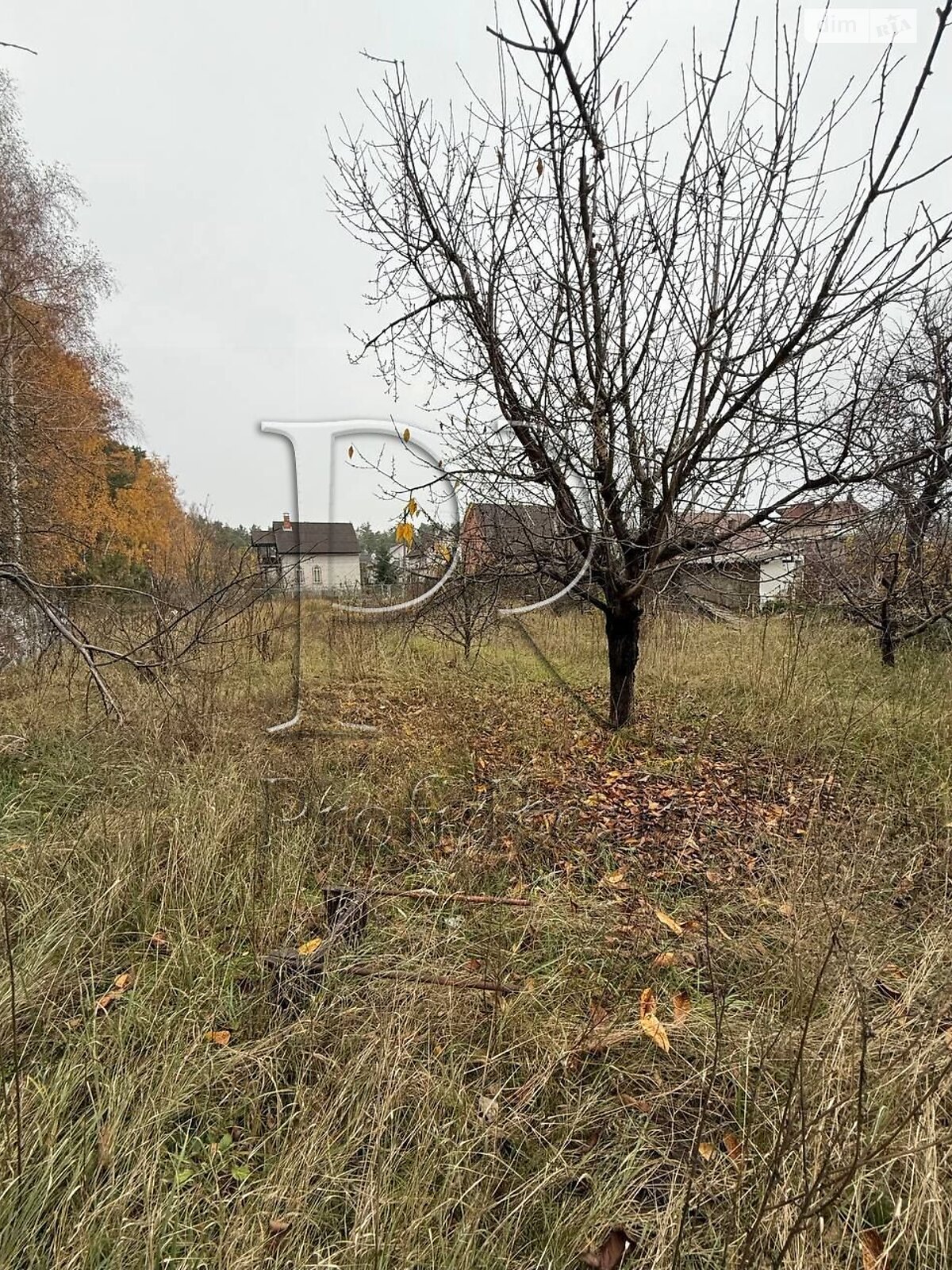 Земельна ділянка під житлову забудову в Демідові, площа 11.99 сотки фото 1