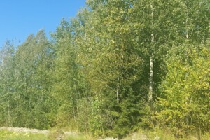 Земельный участок под жилую застройку в Денышах, площадь 27 соток фото 2 Земельный участок под жилую застройку в Денышах, площадь 27 соток фото 2