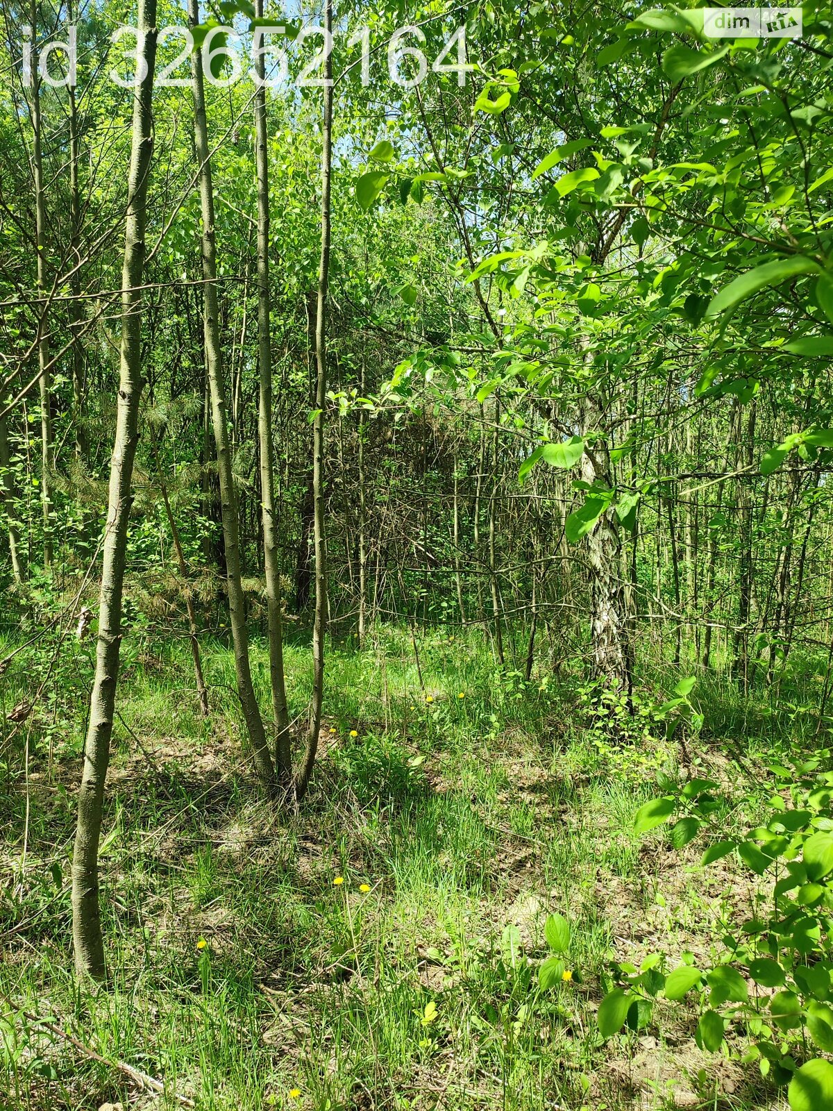 Земельна ділянка під житлову забудову в Деревачі, площа 0.0987 Га фото 1 Земельна ділянка під житлову забудову в Деревачі, площа 0.0987 Га фото 1