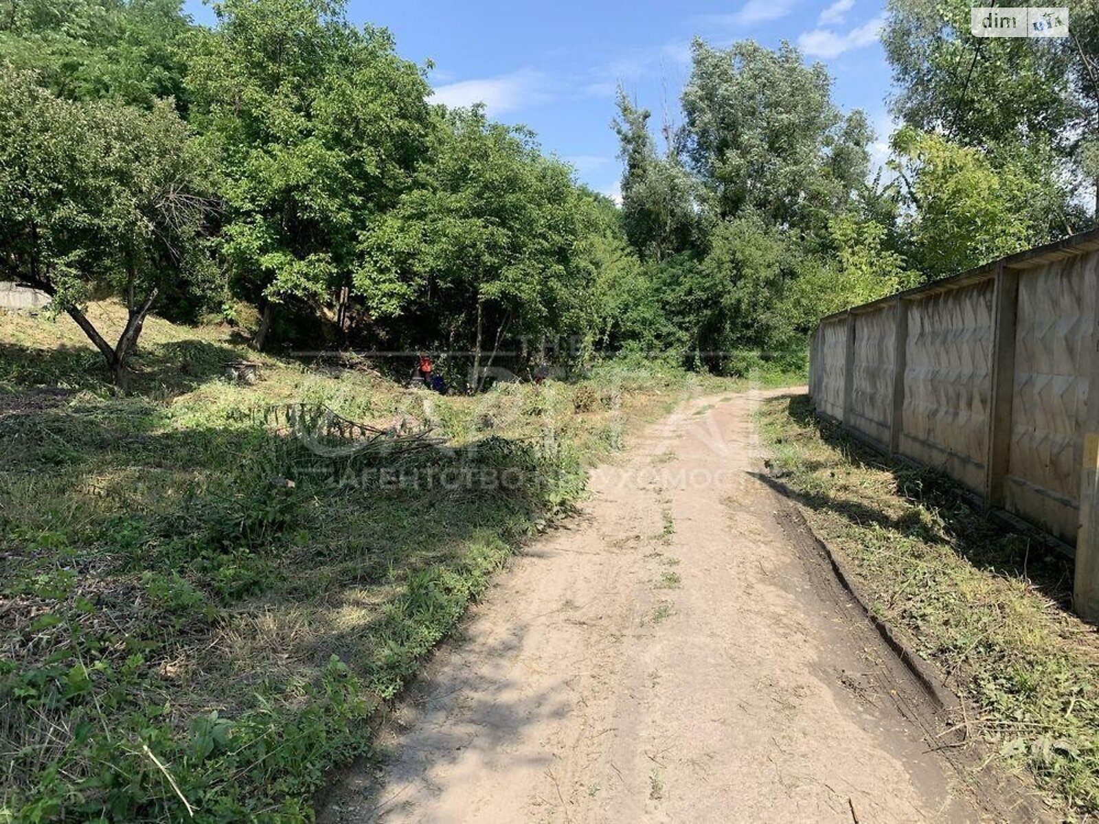 Земельный участок под жилую застройку в Деревяной, площадь 80 соток фото 1 Земельный участок под жилую застройку в Деревяной, площадь 80 соток фото 1