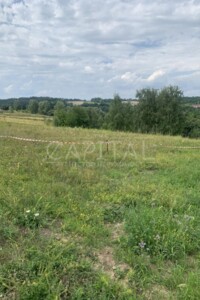 Земельный участок под жилую застройку в Деревяной, площадь 80 соток фото 2