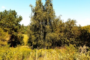 Земельна ділянка під житлову забудову в Дерев’яній, площа 25 соток фото 2 Земельна ділянка під житлову забудову в Дерев’яній, площа 25 соток фото 2