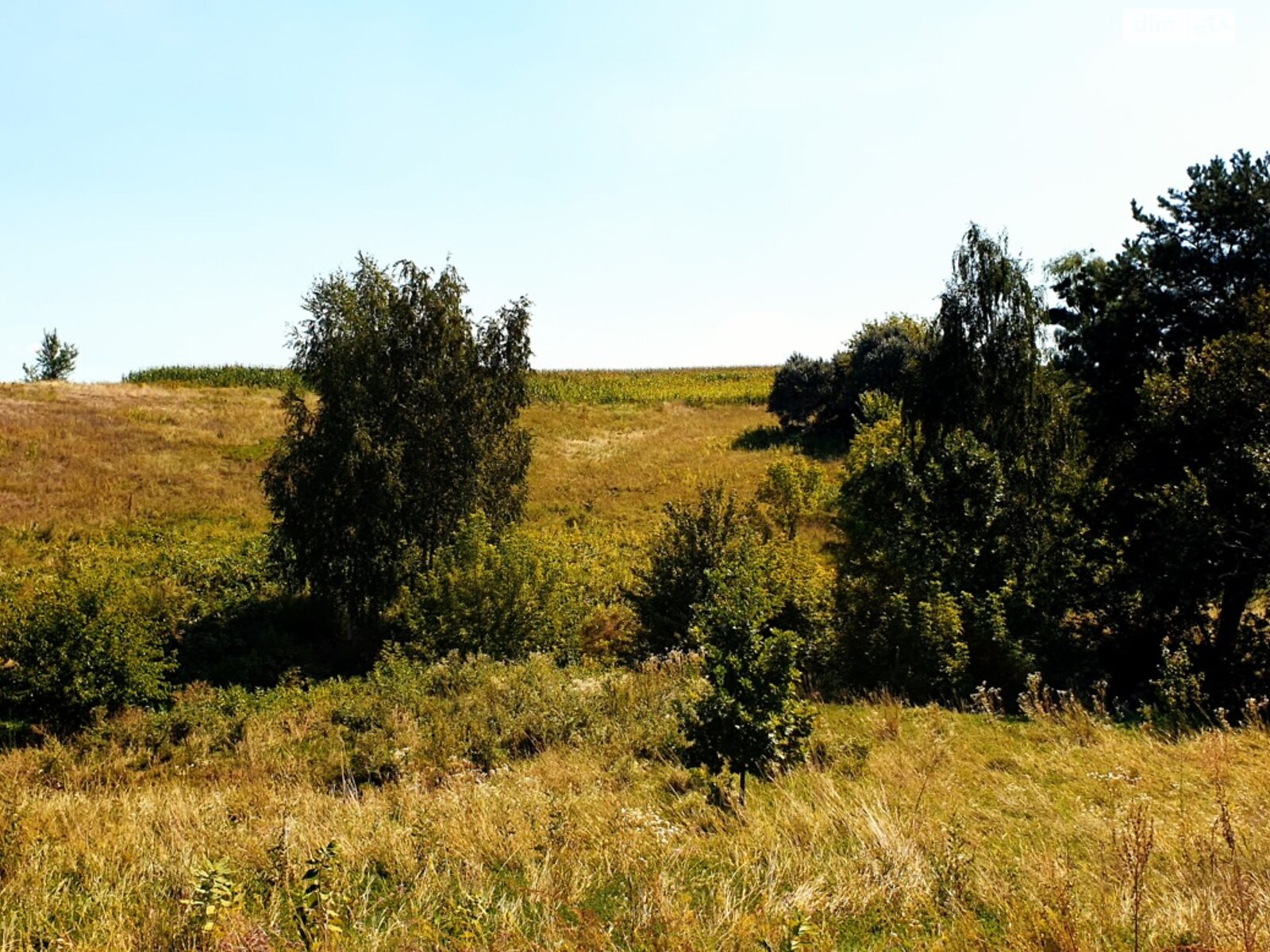 Земельна ділянка під житлову забудову в Дерев’яній, площа 25 соток фото 1 Земельна ділянка під житлову забудову в Дерев’яній, площа 25 соток фото 1