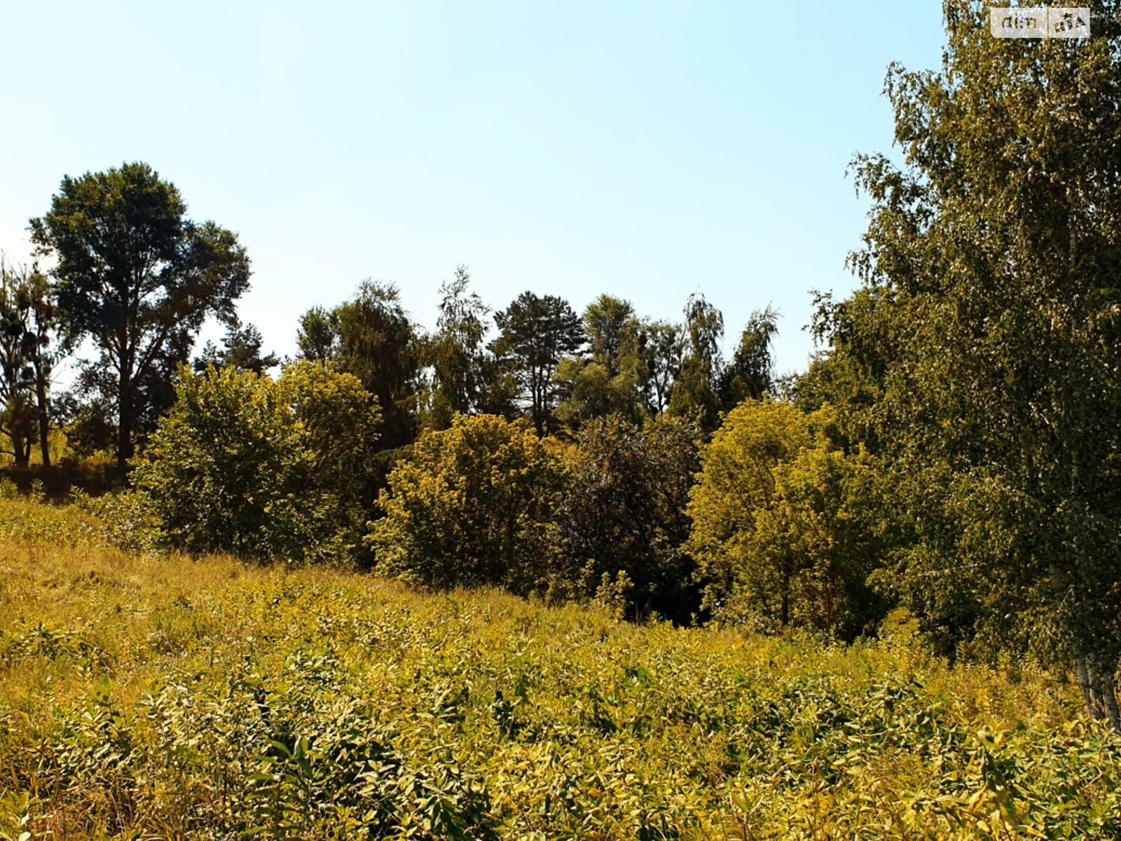 Земельна ділянка під житлову забудову в Дерев’яній, площа 25 соток фото 1 Земельна ділянка під житлову забудову в Дерев’яній, площа 25 соток фото 1