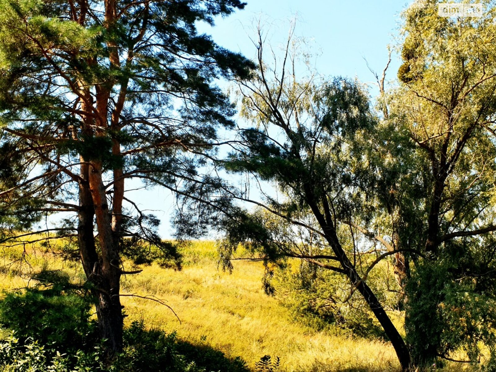 Земельна ділянка під житлову забудову в Дерев’яній, площа 25 соток фото 1 Земельна ділянка під житлову забудову в Дерев’яній, площа 25 соток фото 1