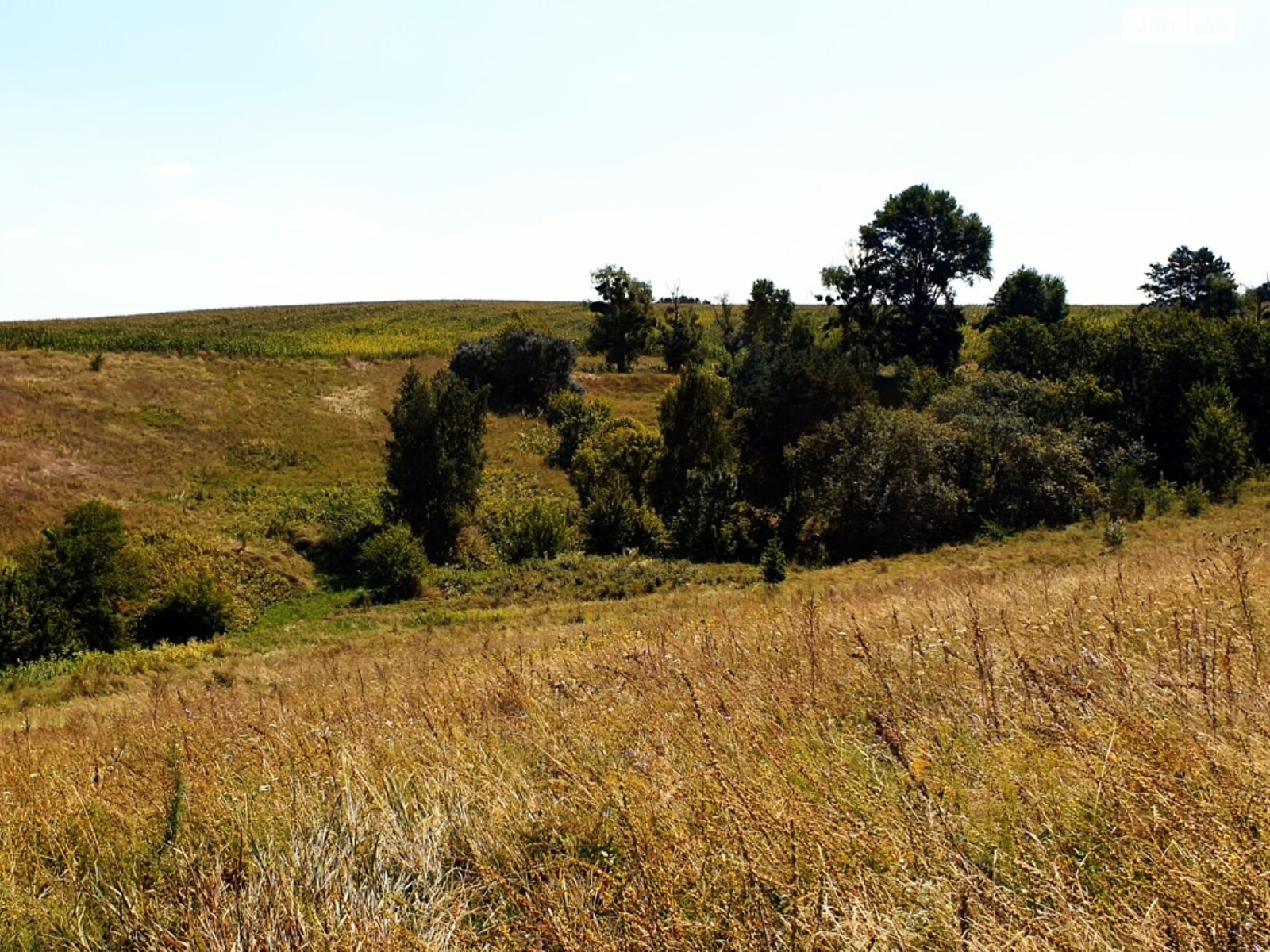 Земельна ділянка під житлову забудову в Дерев’яній, площа 25 соток фото 1 Земельна ділянка під житлову забудову в Дерев’яній, площа 25 соток фото 1