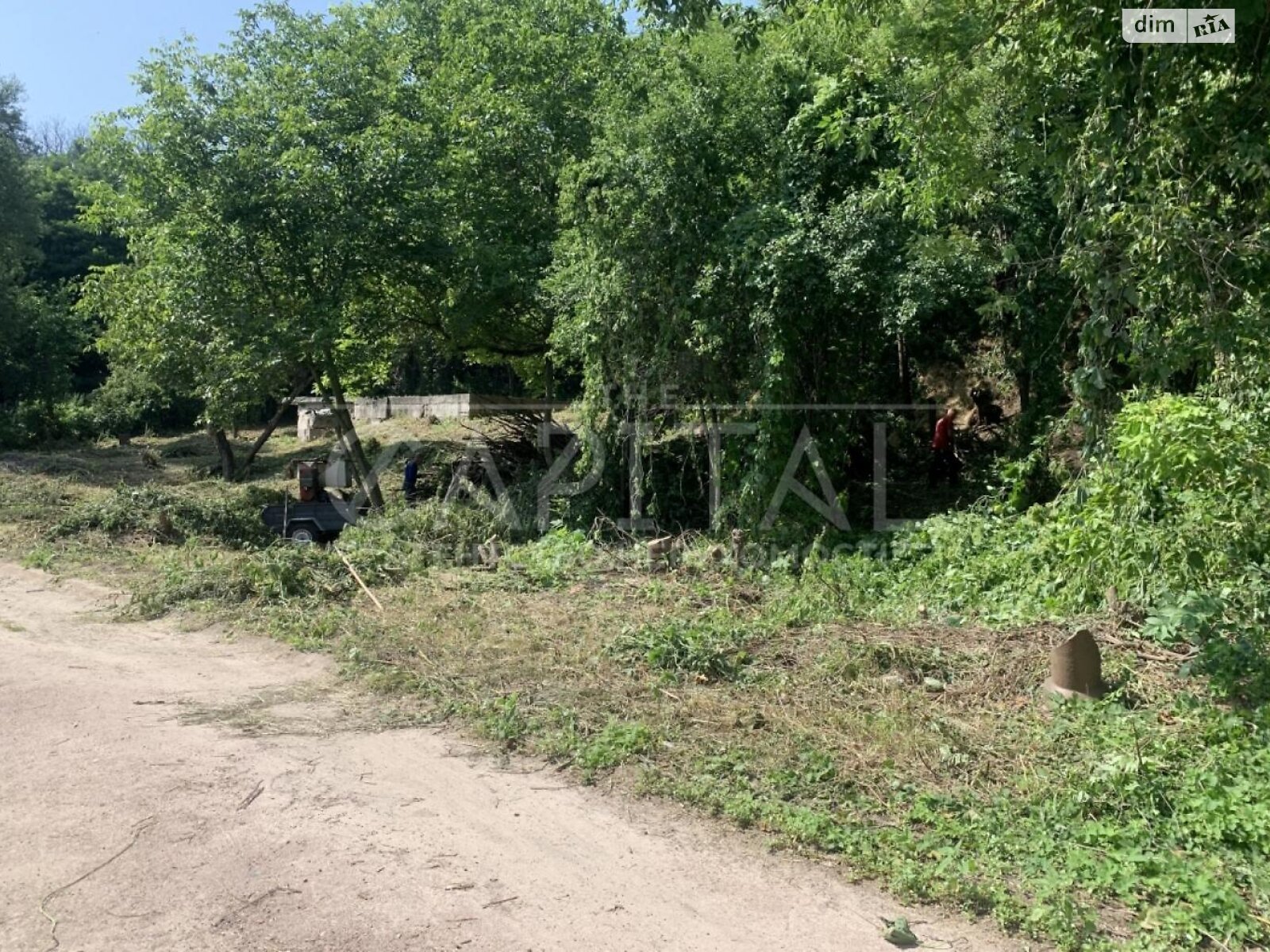 Земельна ділянка під житлову забудову в Дерев’яні, площа 80 соток фото 1