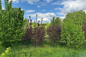 Земельный участок под жилую застройку в Дермани Первой, площадь 1.2495 Га фото 2
