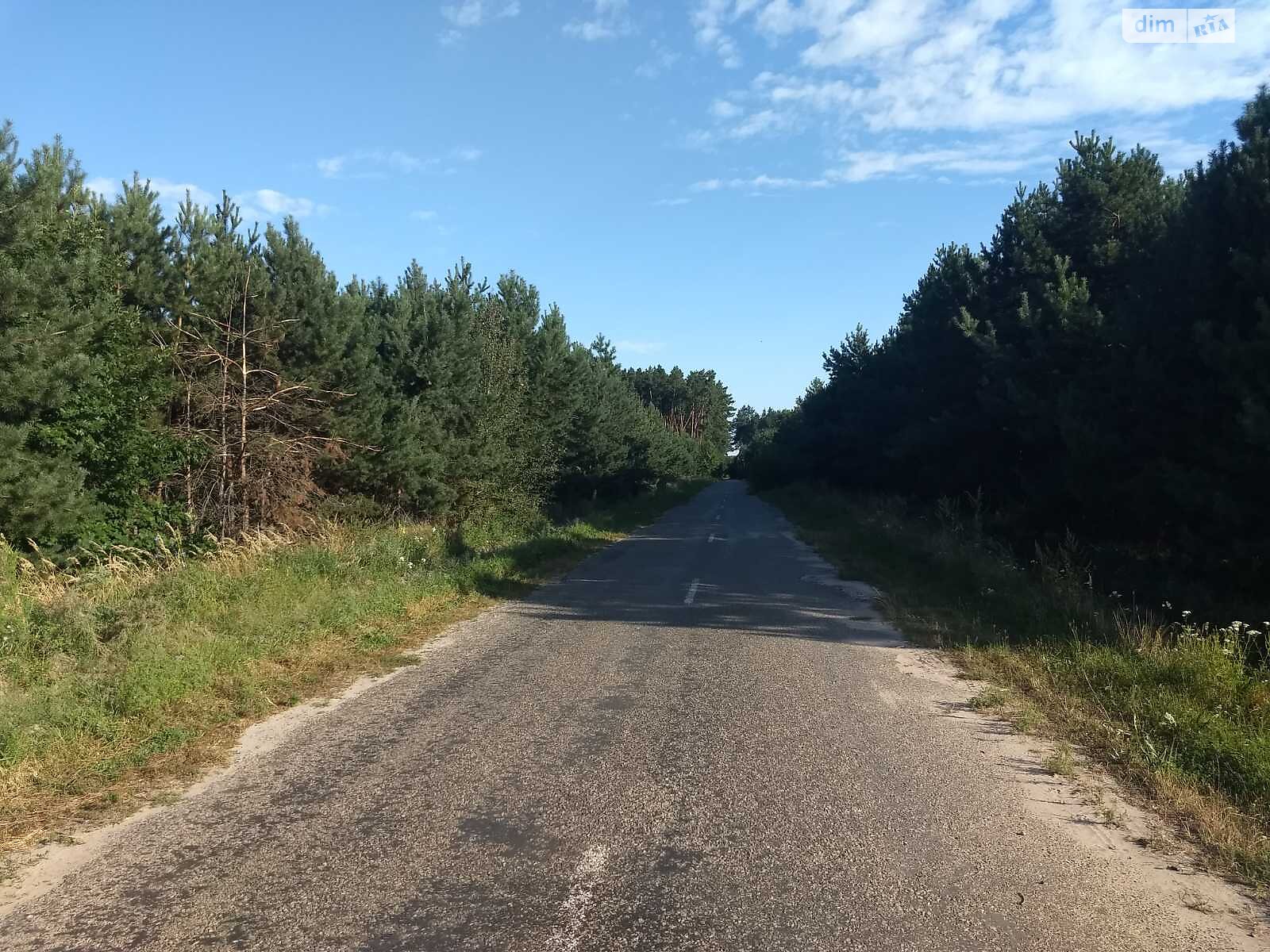 Земельна ділянка під житлову забудову в Дернівці, площа 50 соток фото 1 Земельна ділянка під житлову забудову в Дернівці, площа 50 соток фото 1