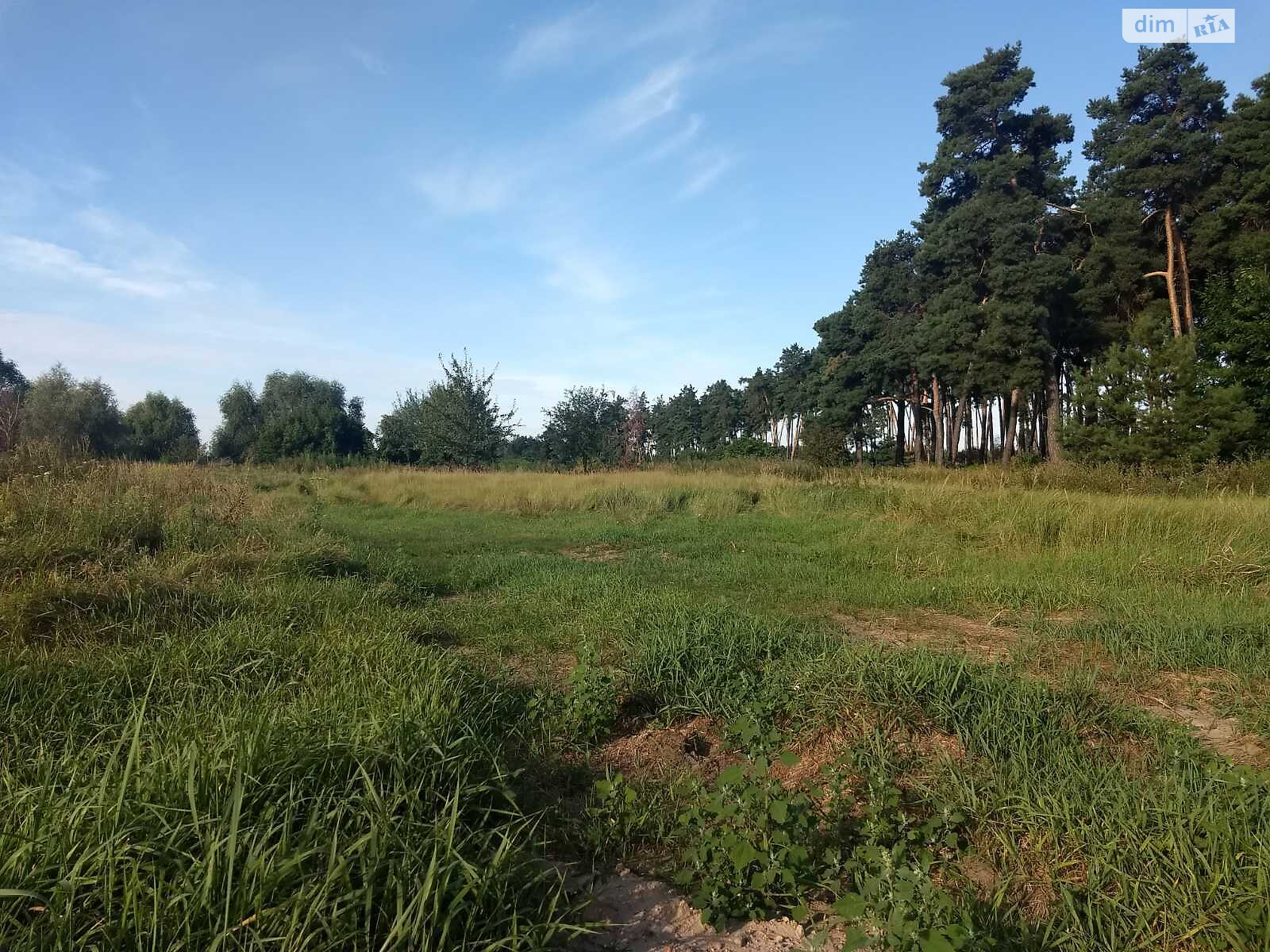 Земельна ділянка під житлову забудову в Дернівці, площа 50 соток фото 1 Земельна ділянка під житлову забудову в Дернівці, площа 50 соток фото 1