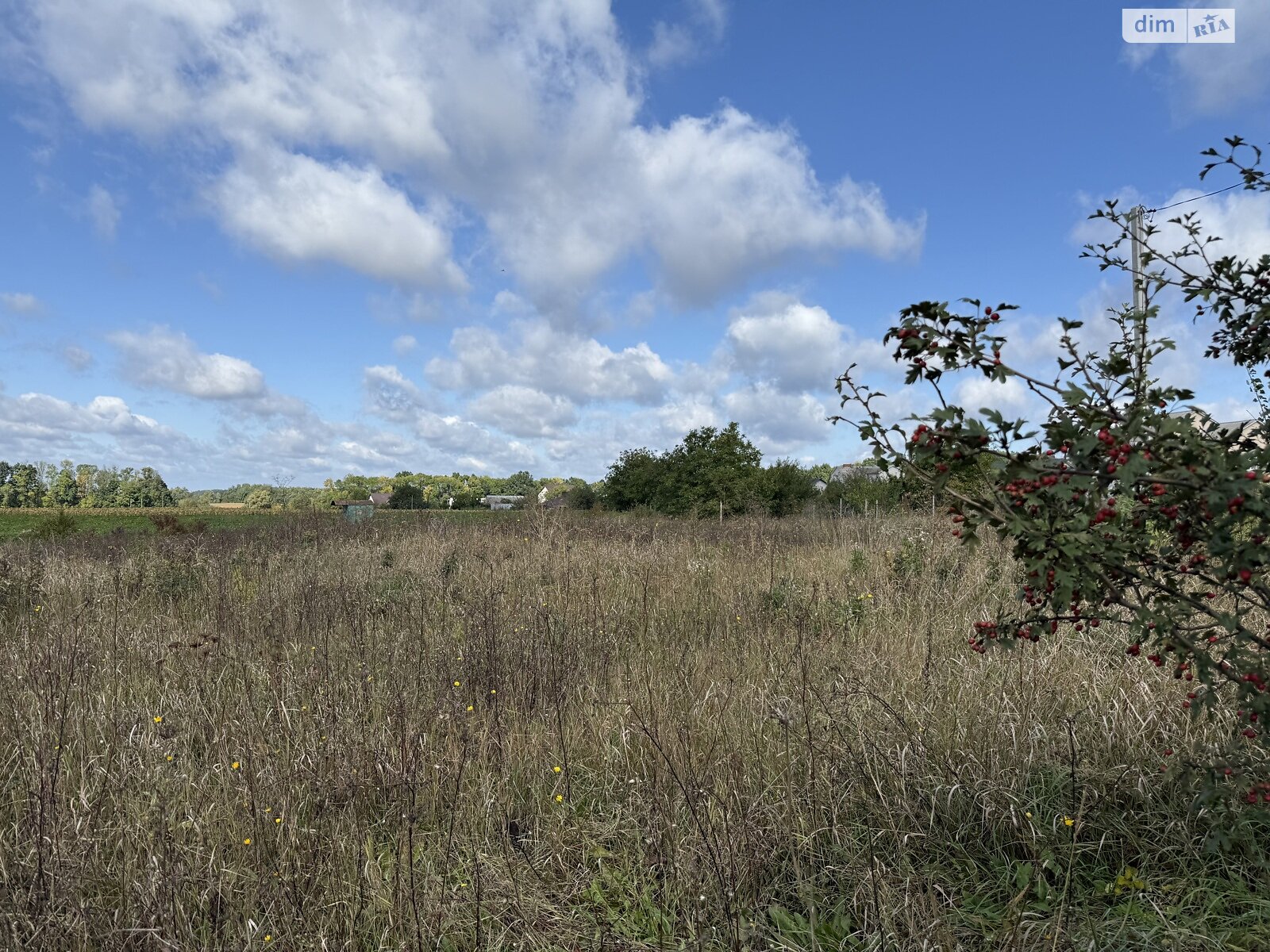 Земельный участок под жилую застройку в Десне, площадь 8.63 сотки фото 1 Земельный участок под жилую застройку в Десне, площадь 8.63 сотки фото 1