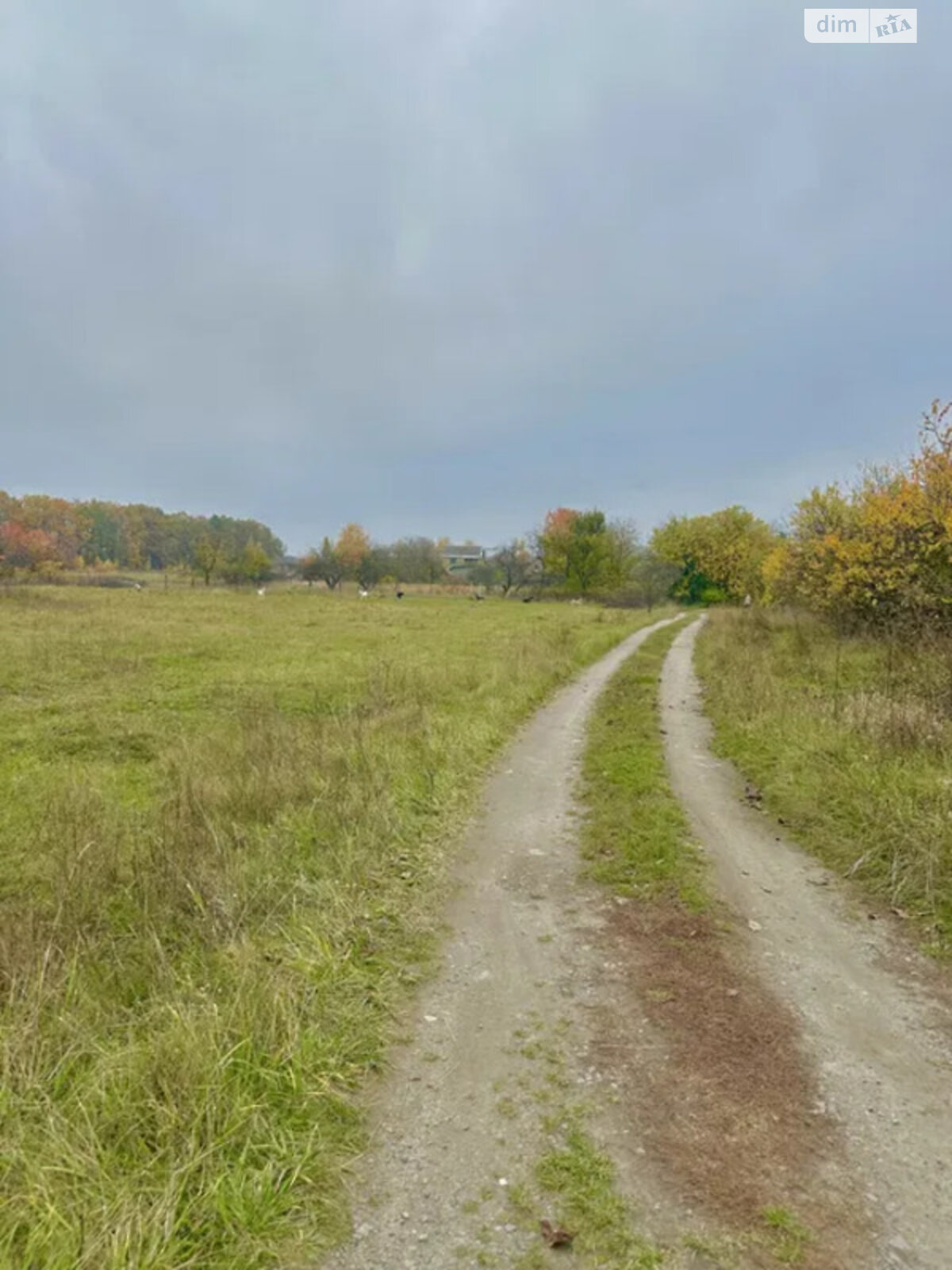 Земельна ділянка під житлову забудову в Діброві, площа 15.37 сотки фото 1