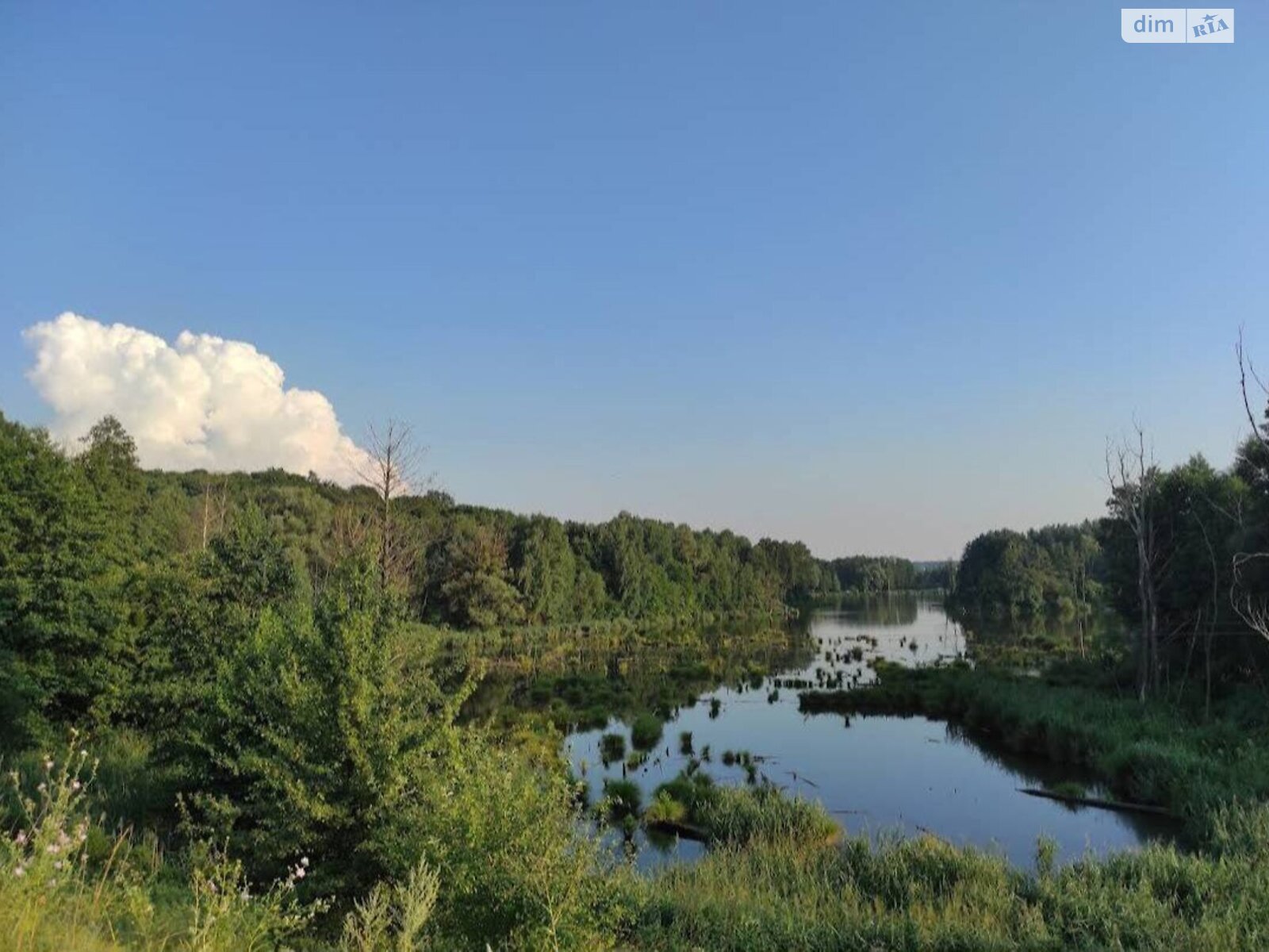 Земельна ділянка під житлову забудову в Дмитрівці, площа 10 соток фото 1