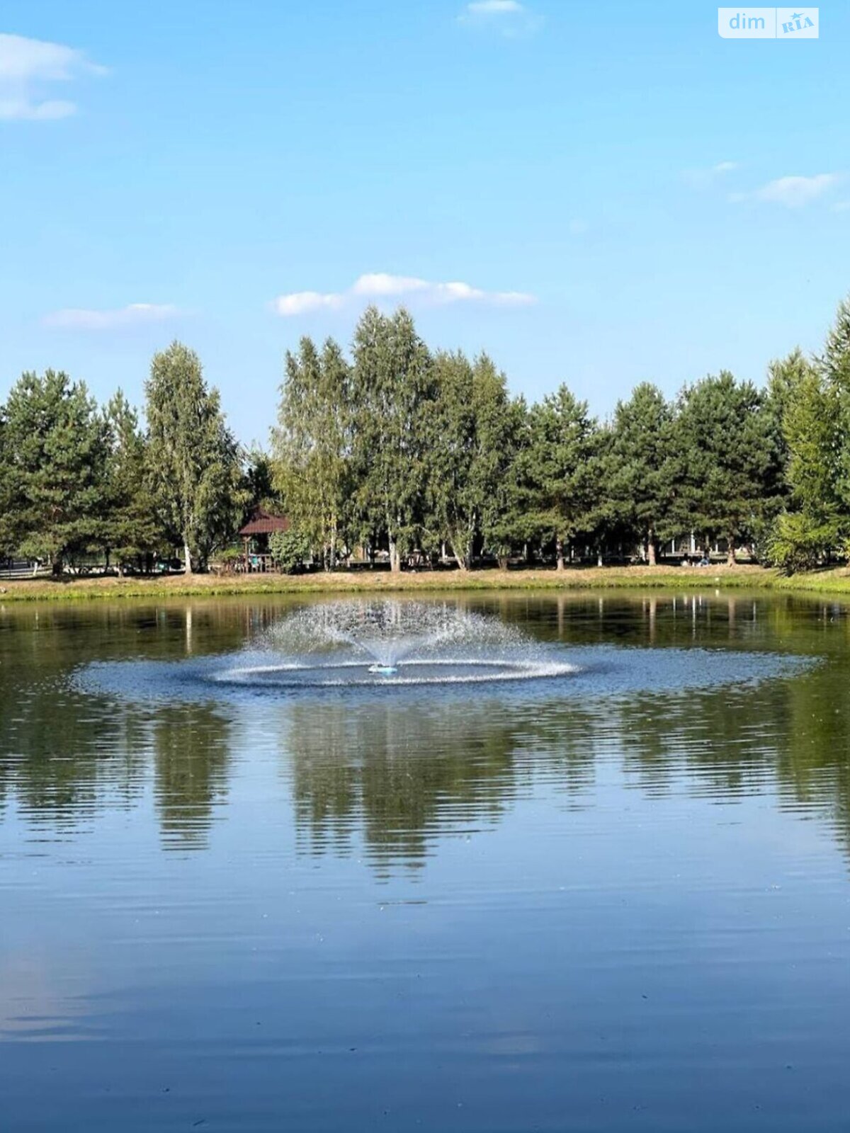 Земельна ділянка під житлову забудову в Дмитрівці, площа 10 соток фото 1