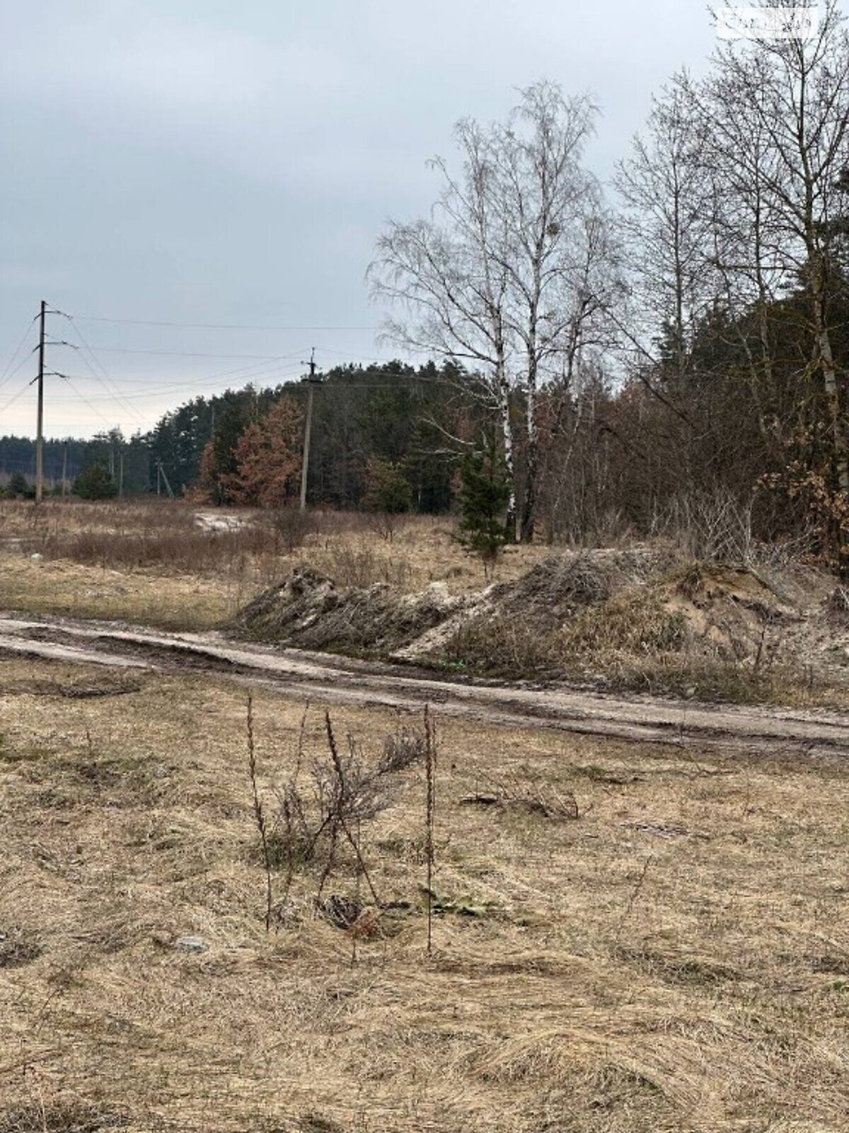 Земельный участок под жилую застройку в Дмитровке, площадь 40 Га фото 1