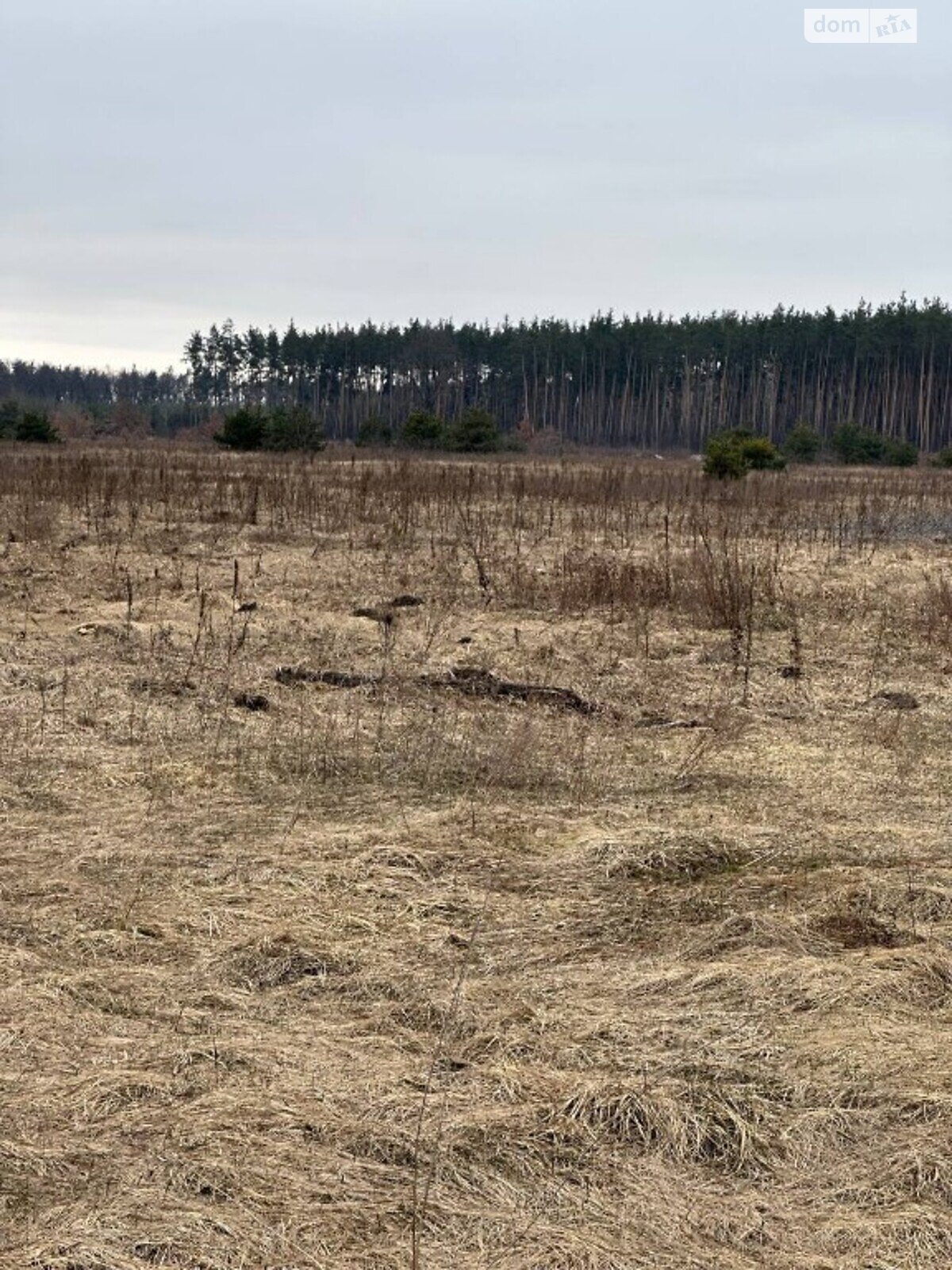 Земельный участок под жилую застройку в Дмитровке, площадь 40 Га фото 1