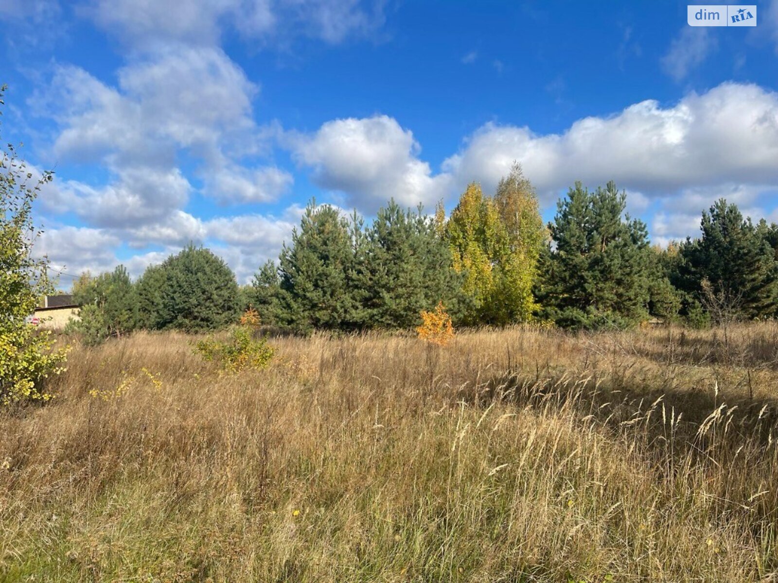 Земельна ділянка під житлову забудову в Дмитрівці, площа 31.92 сотки фото 1 Земельна ділянка під житлову забудову в Дмитрівці, площа 31.92 сотки фото 1