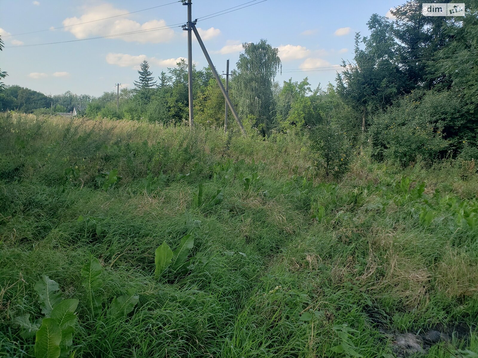 Земельна ділянка під житлову забудову в Дмухiвцях, площа 50 соток фото 1 Земельна ділянка під житлову забудову в Дмухiвцях, площа 50 соток фото 1