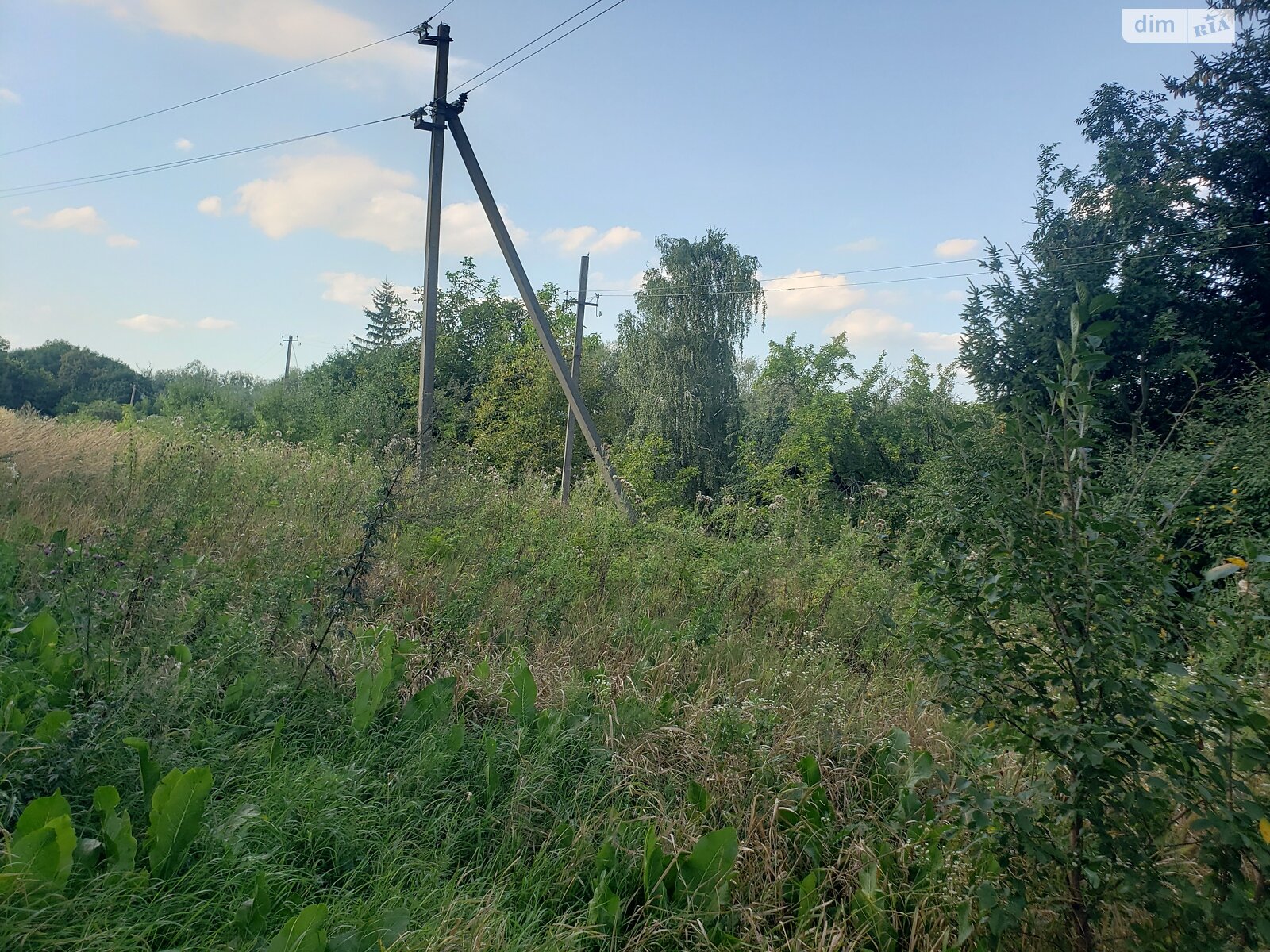 Земельный участок под жилую застройку в Дмуховцах, площадь 50 соток фото 1