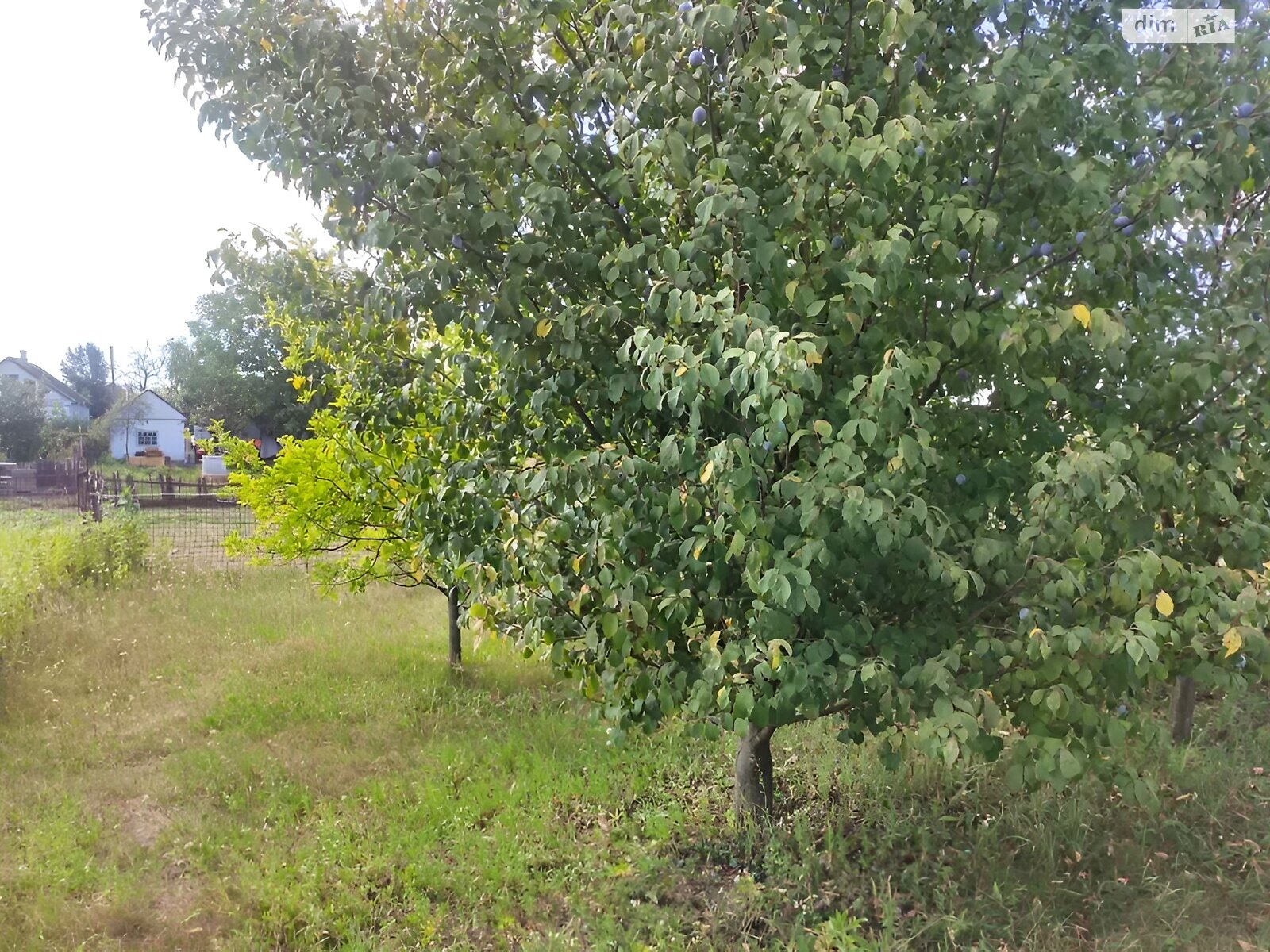 Земля під житлову забудову в Дніпрі, район Амур-Нижньодніпровський, площа 10 соток фото 1 Земля під житлову забудову в Дніпрі, район Амур-Нижньодніпровський, площа 10 соток фото 1