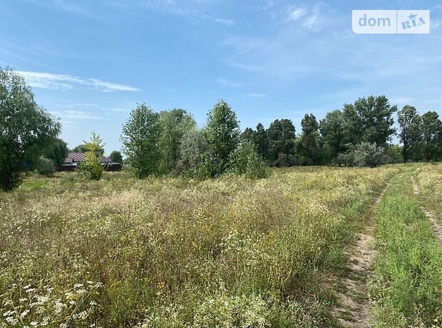 Земля под жилую застройку в Днепре, район Амур-Нижнеднепровский, площадь 9.9 сотки фото 1 Земля под жилую застройку в Днепре, район Амур-Нижнеднепровский, площадь 9.9 сотки фото 1