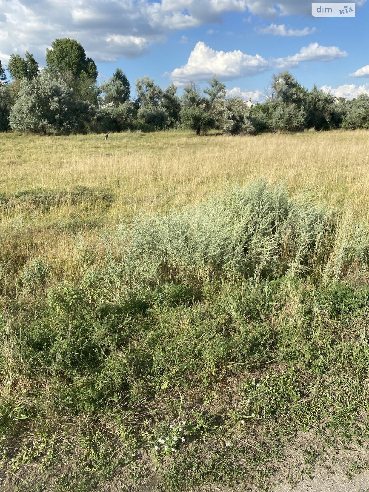Земельный участок под жилую застройку в Днепре, площадь 0.0995 Га фото 1 Земельный участок под жилую застройку в Днепре, площадь 0.0995 Га фото 1