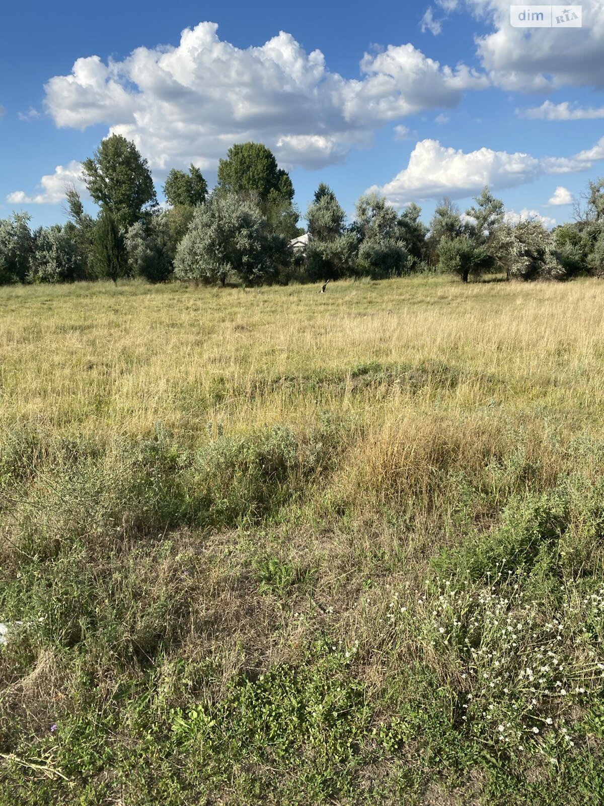Земельный участок под жилую застройку в Днепре, площадь 0.0995 Га фото 1 Земельный участок под жилую застройку в Днепре, площадь 0.0995 Га фото 1