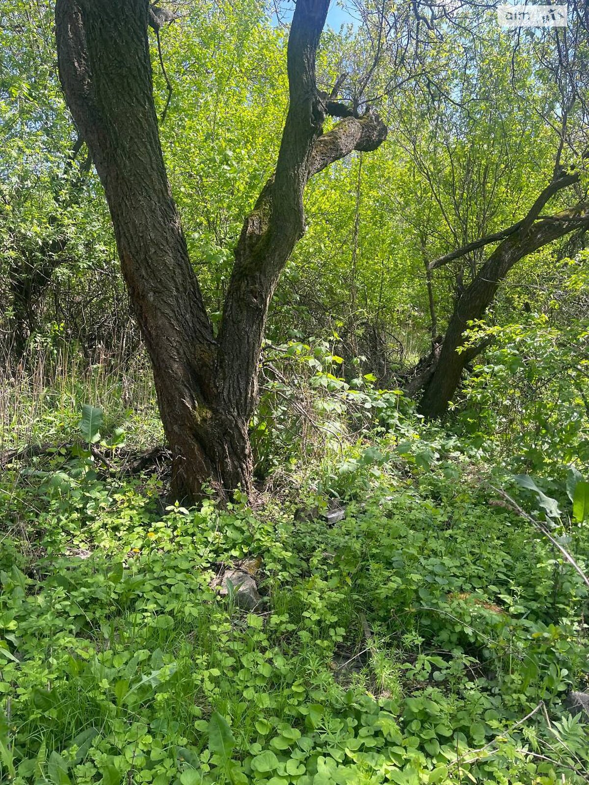 Земля під житлову забудову в Дніпрі, район Чечелівський, площа 4.7 сотки фото 1