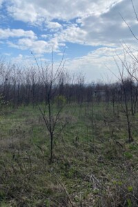 Земля під житлову забудову в Дніпрі, район Діївка-2, площа 10 соток фото 2