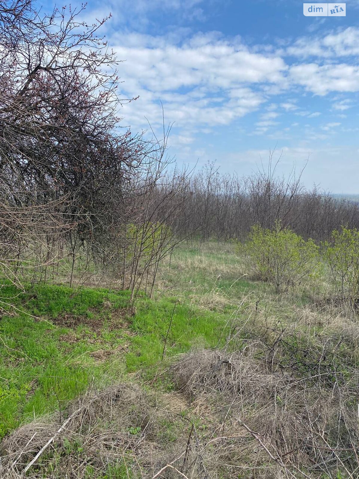 Земля під житлову забудову в Дніпрі, район Діївка-2, площа 10 соток фото 1 Земля під житлову забудову в Дніпрі, район Діївка-2, площа 10 соток фото 1
