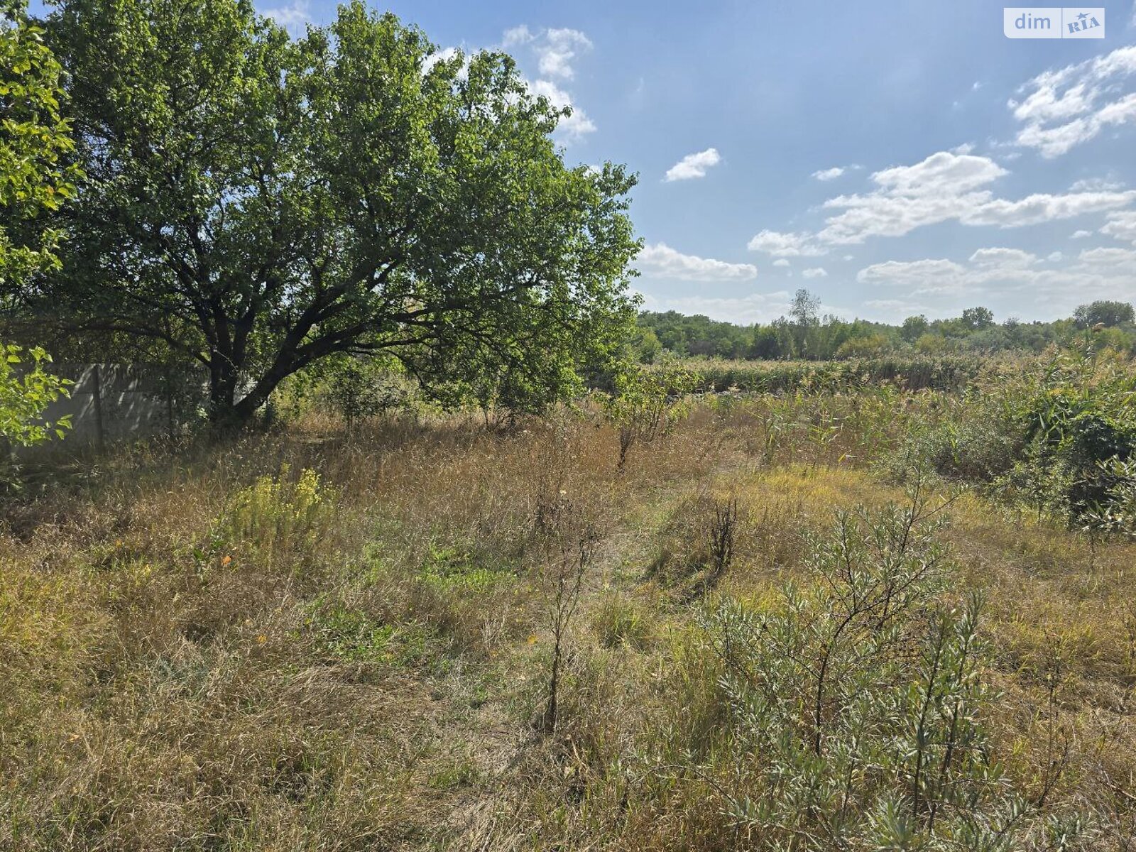 Земельный участок под жилую застройку в Днепре, площадь 5 соток фото 1 Земельный участок под жилую застройку в Днепре, площадь 5 соток фото 1