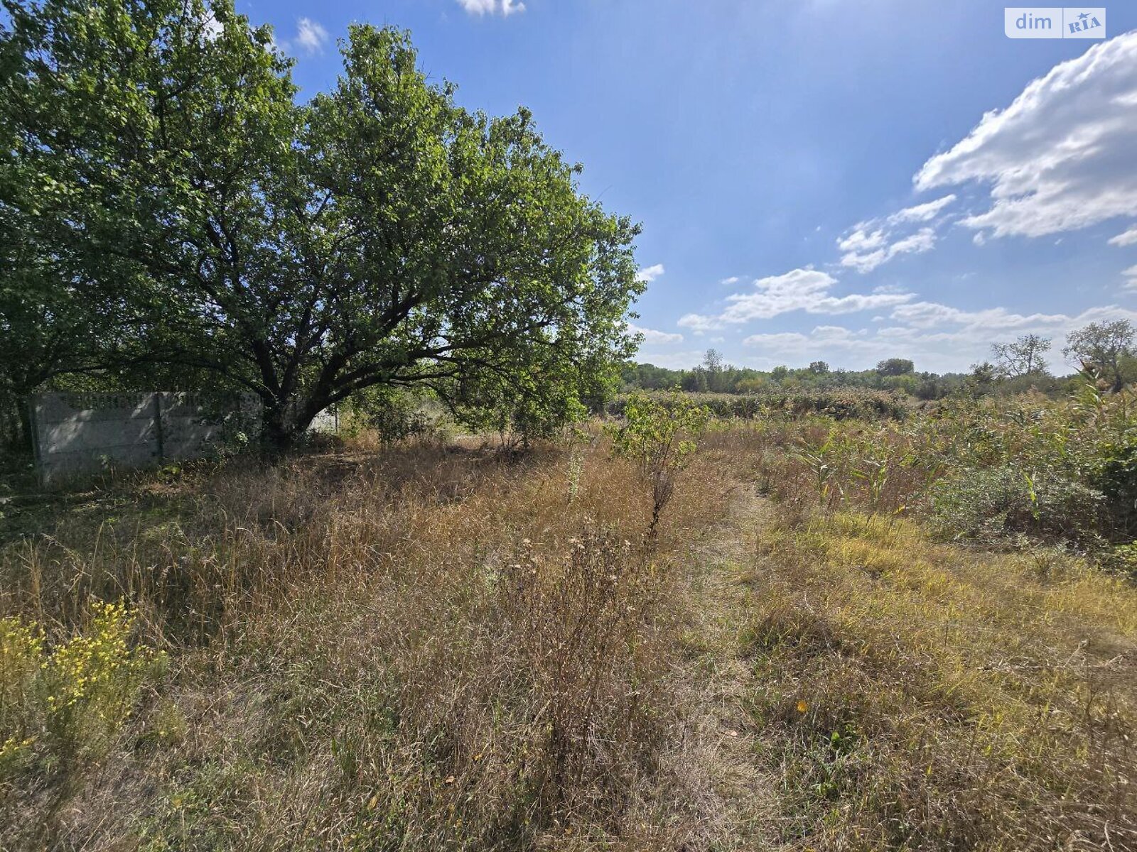 Земельный участок под жилую застройку в Днепре, площадь 5 соток фото 1 Земельный участок под жилую застройку в Днепре, площадь 5 соток фото 1