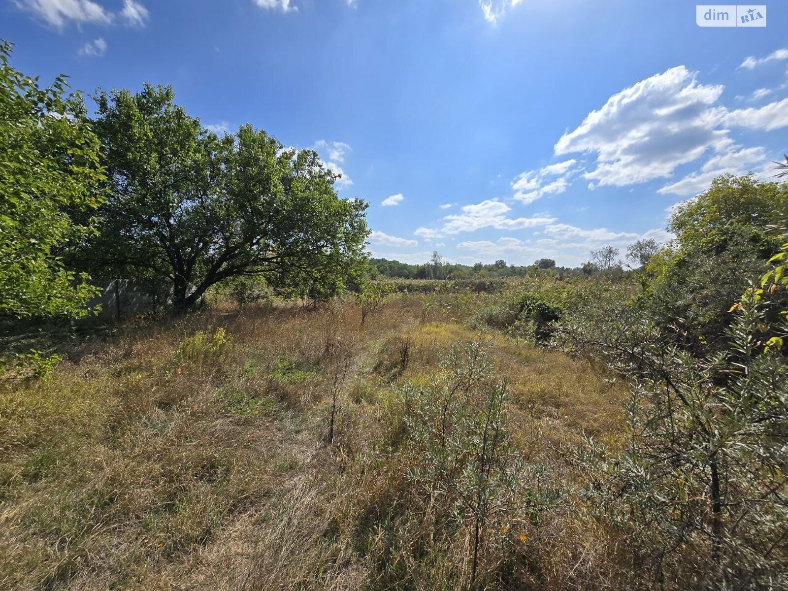 Земельный участок под жилую застройку в Днепре, площадь 5 соток фото 1 Земельный участок под жилую застройку в Днепре, площадь 5 соток фото 1
