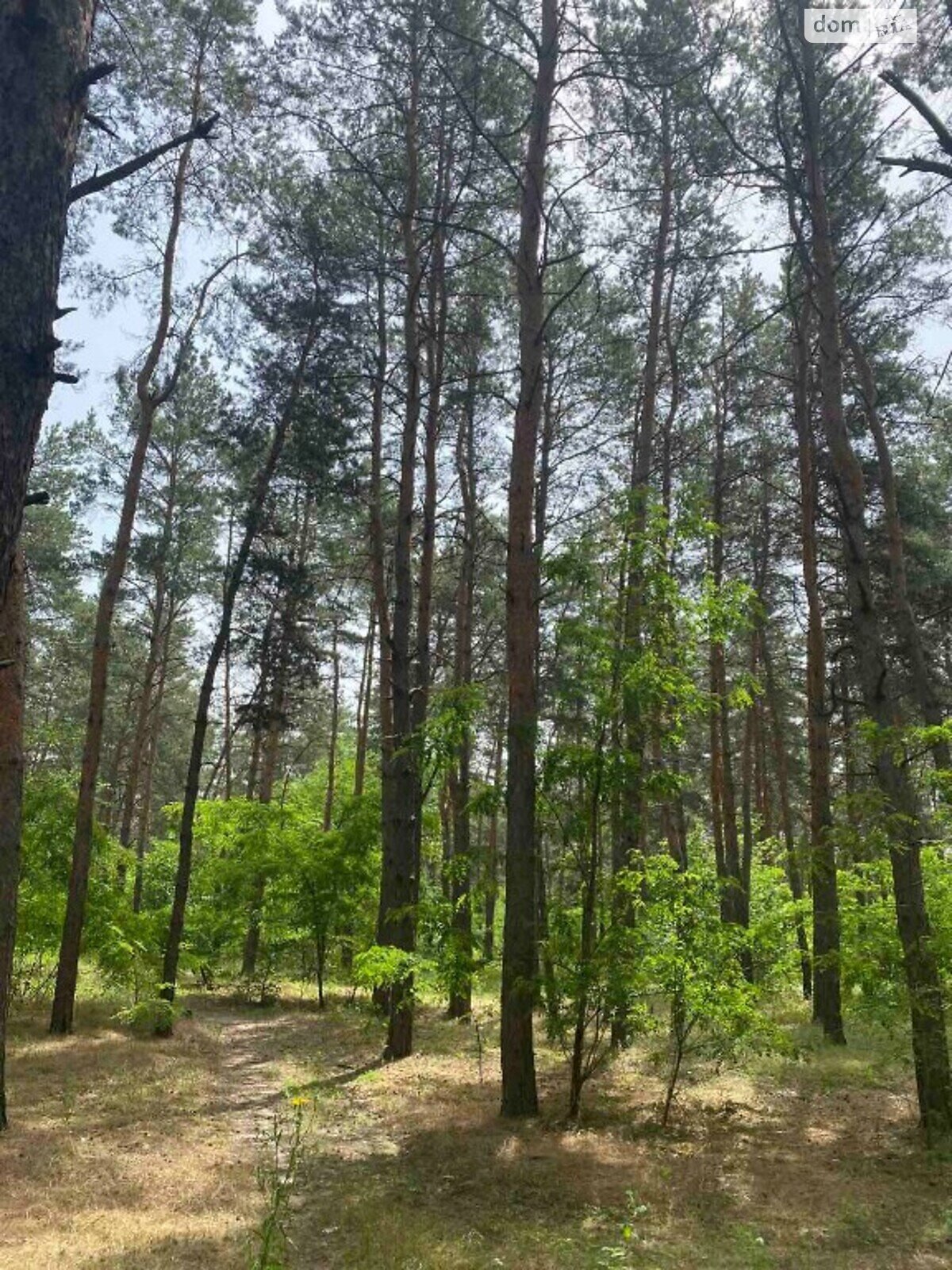 Земельна ділянка під житлову забудову в Обухівці, площа 10 соток фото 1 Земельна ділянка під житлову забудову в Обухівці, площа 10 соток фото 1