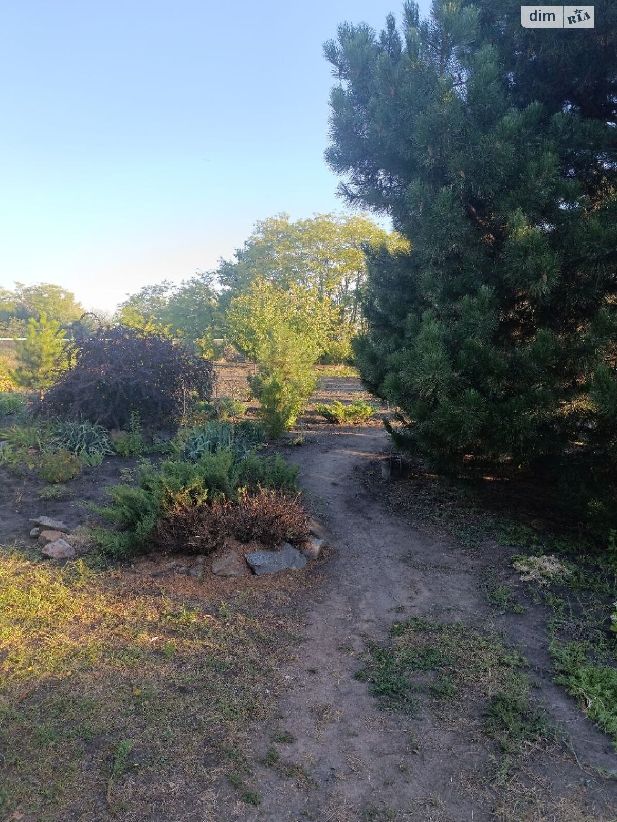 Земля під житлову забудову в Дніпрі, район Одинківка, площа 10 соток фото 1 Земля під житлову забудову в Дніпрі, район Одинківка, площа 10 соток фото 1