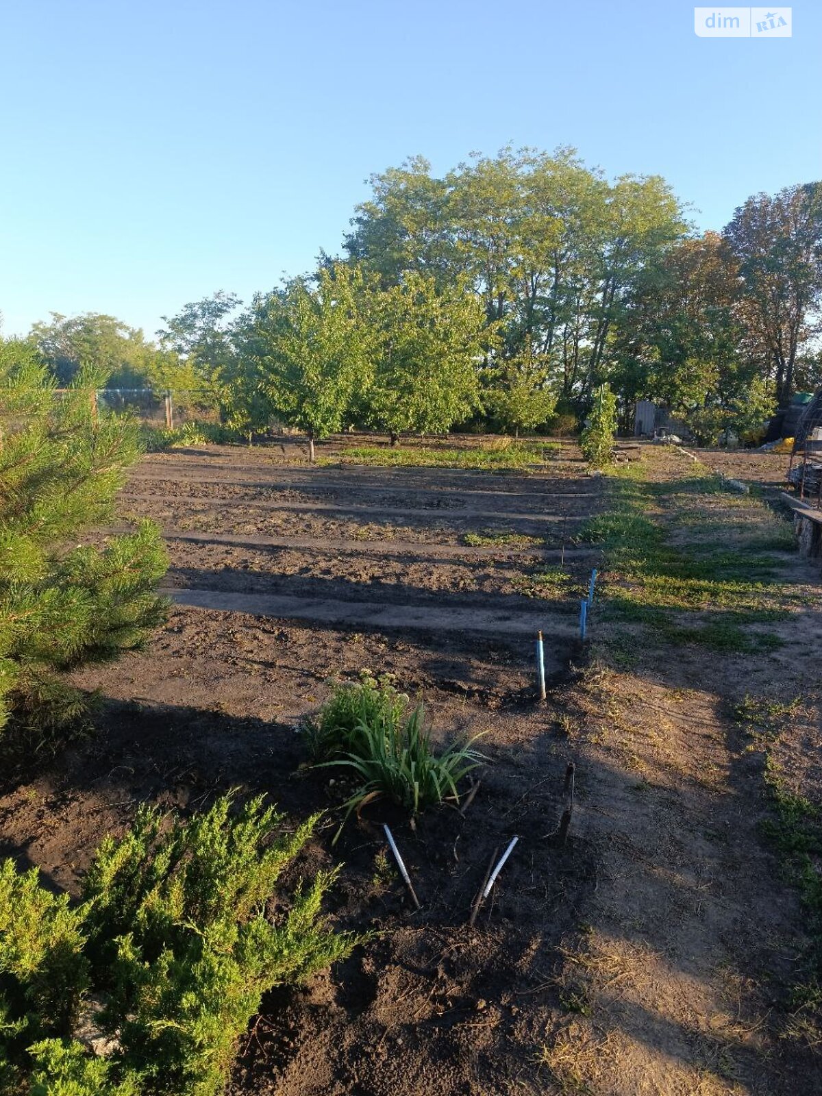 Земля під житлову забудову в Дніпрі, район Одинківка, площа 10 соток фото 1 Земля під житлову забудову в Дніпрі, район Одинківка, площа 10 соток фото 1