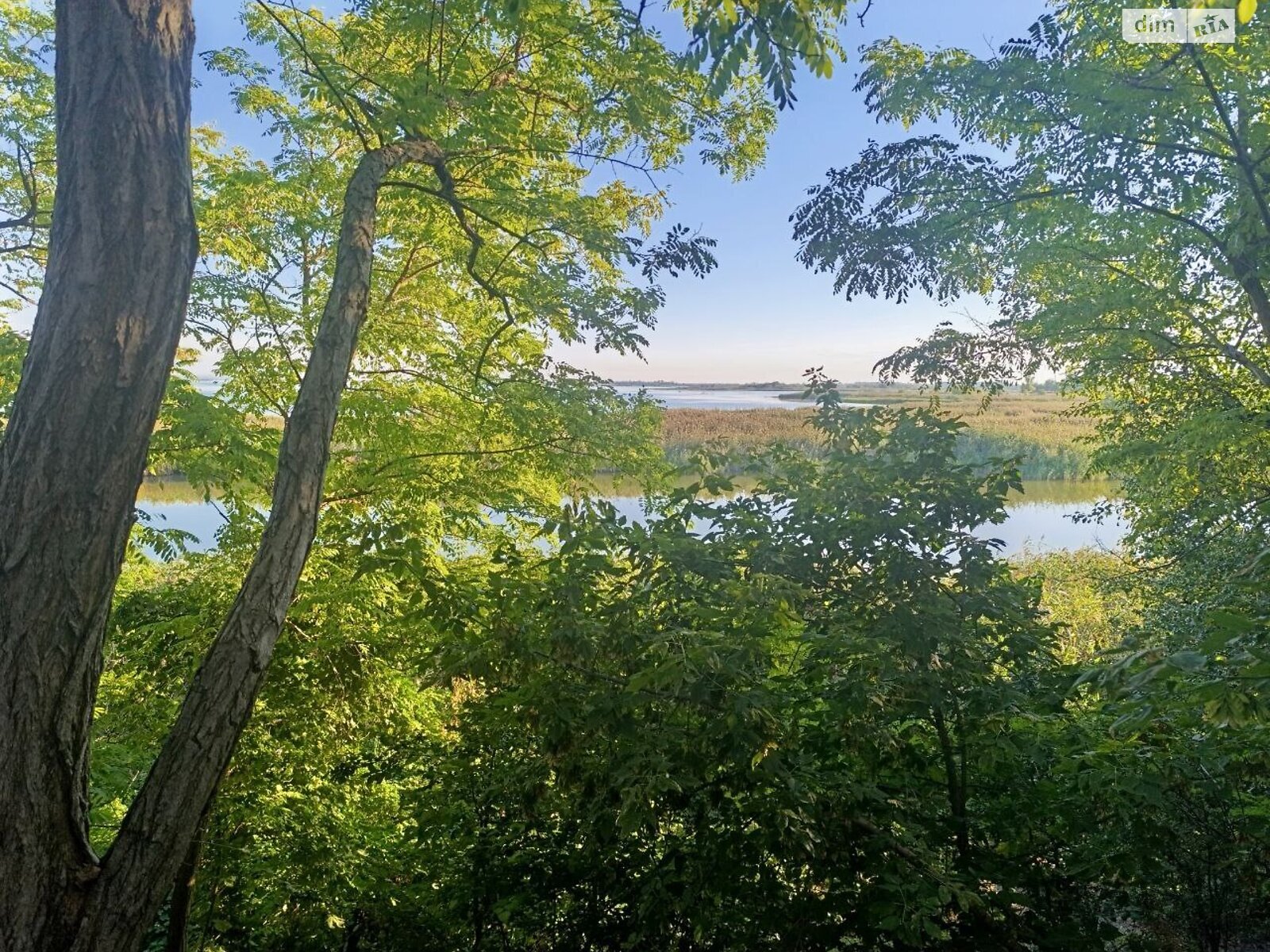 Земля під житлову забудову в Дніпрі, район Одинківка, площа 10 соток фото 1 Земля під житлову забудову в Дніпрі, район Одинківка, площа 10 соток фото 1