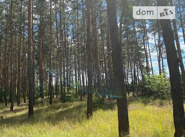 Земля под жилую застройку в селе Песчанка, площадь 13 соток фото 1 Земля под жилую застройку в селе Песчанка, площадь 13 соток фото 1