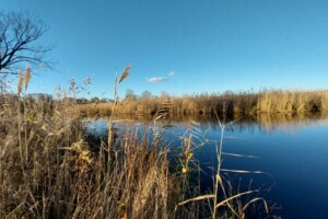 Земля під житлову забудову в Дніпрі, район Придніпровський, площа 10 соток фото 2