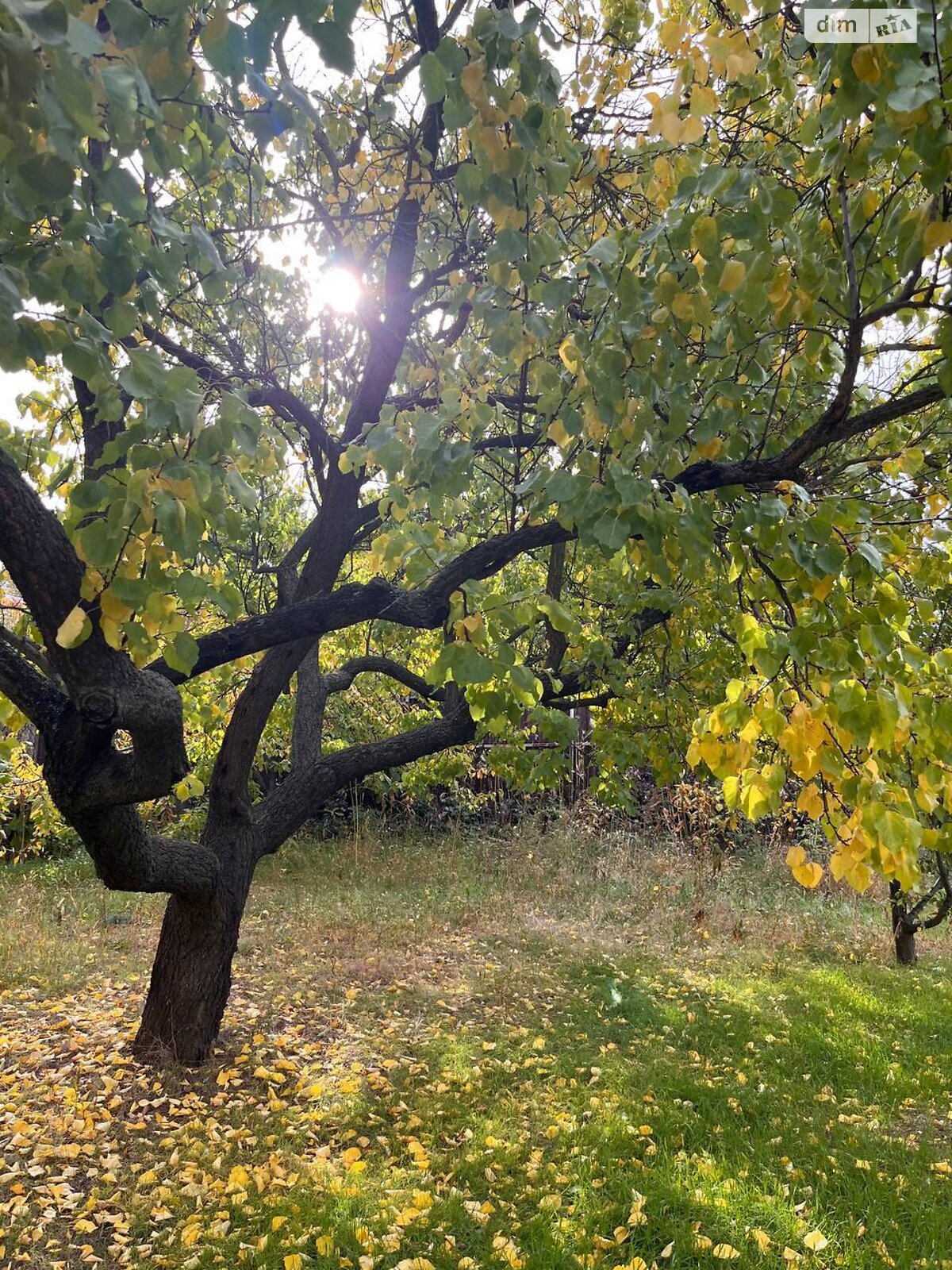 Земля под жилую застройку в Днепре, район Самарский, площадь 6 соток фото 1