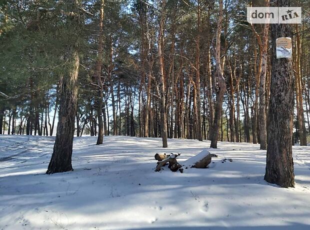 Земля под жилую застройку в Днепре, район Самарский, площадь 8 соток фото 1 Земля под жилую застройку в Днепре, район Самарский, площадь 8 соток фото 1