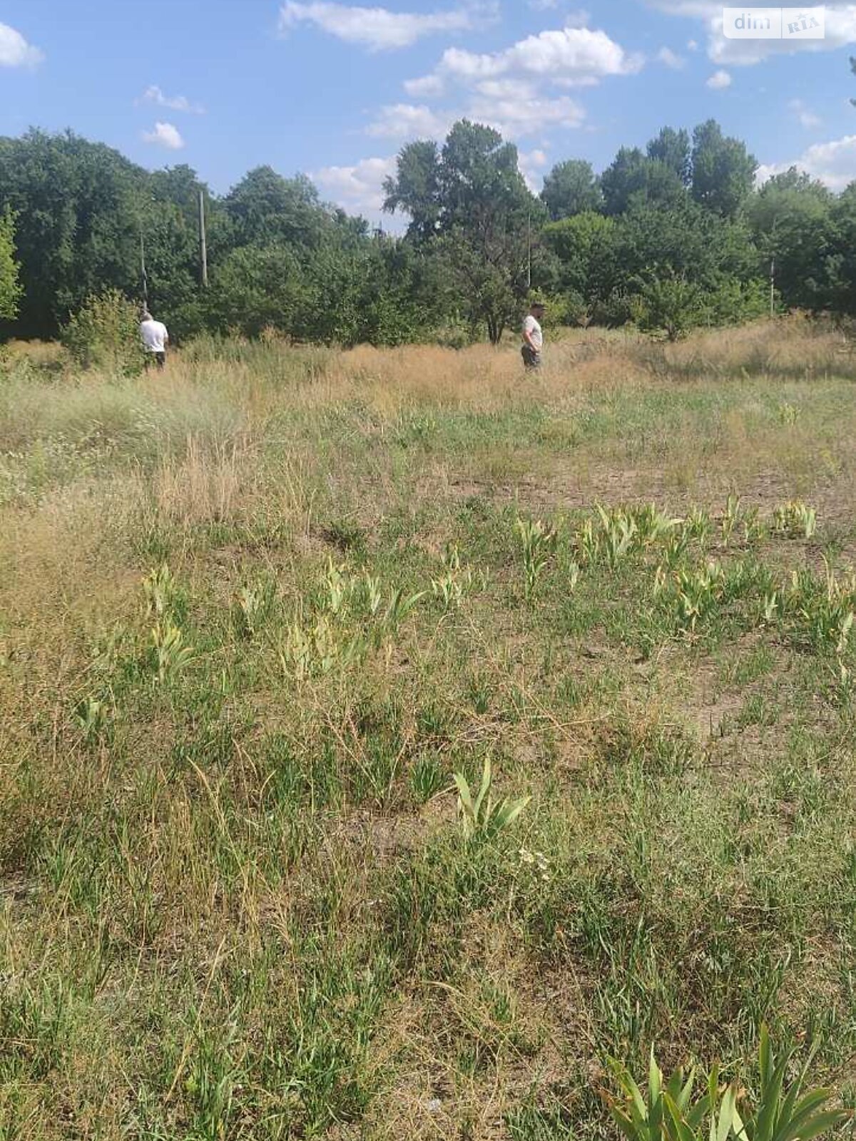Земля під житлову забудову в Дніпрі, район Придніпровський, площа 20 соток фото 1 Земля під житлову забудову в Дніпрі, район Придніпровський, площа 20 соток фото 1