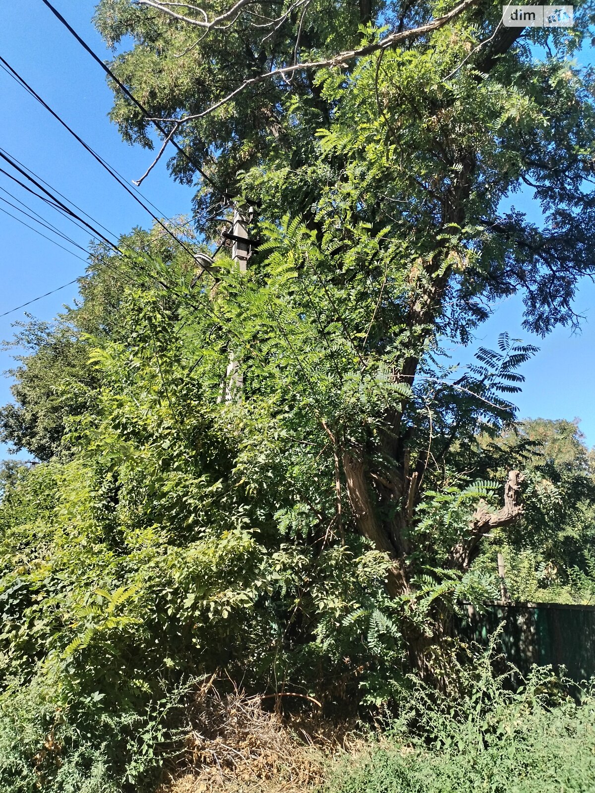 Земля под жилую застройку в Днепре, район Соборный, площадь 20 соток фото 1 Земля под жилую застройку в Днепре, район Соборный, площадь 20 соток фото 1