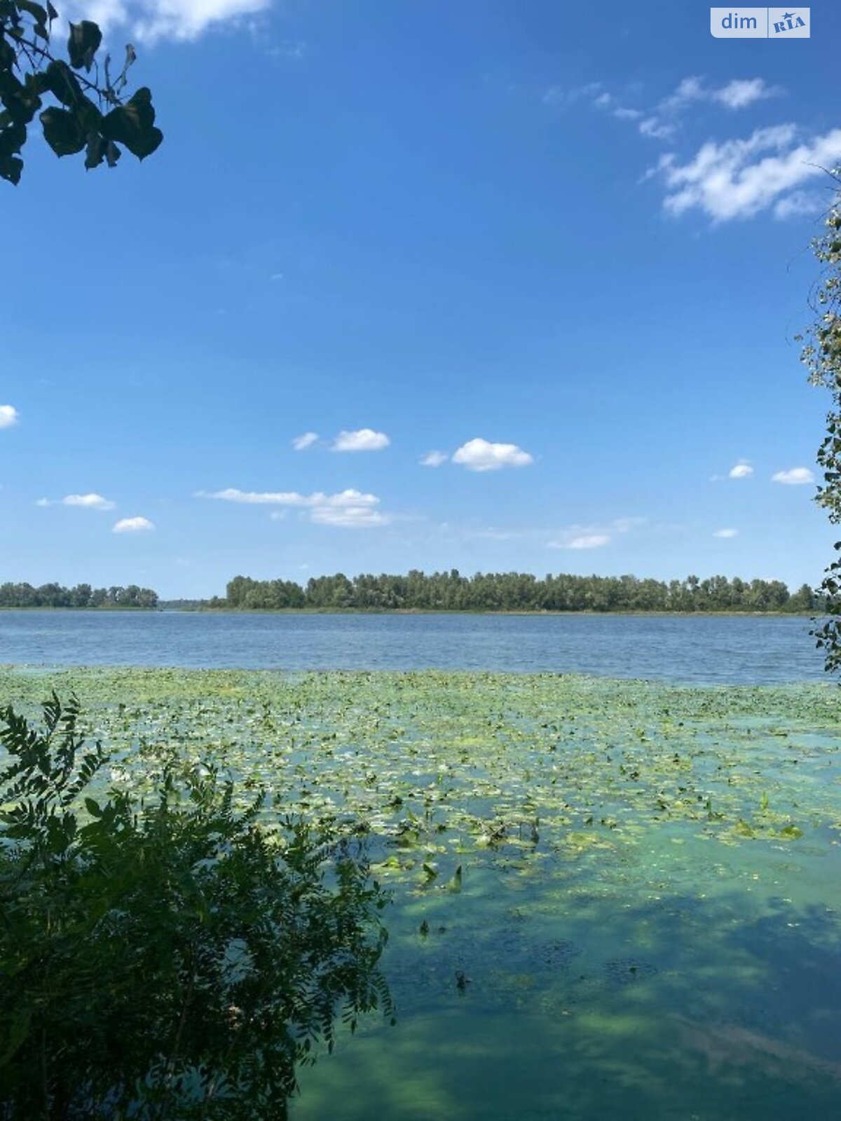 Земля під житлову забудову в Дніпрі, район Таромське, площа 8 соток фото 1