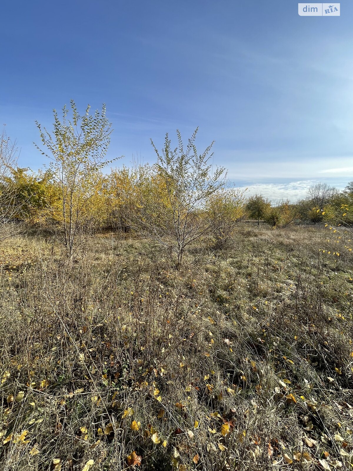 Земельна ділянка під житлову забудову в Горького, площа 15 соток фото 1 Земельна ділянка під житлову забудову в Горького, площа 15 соток фото 1