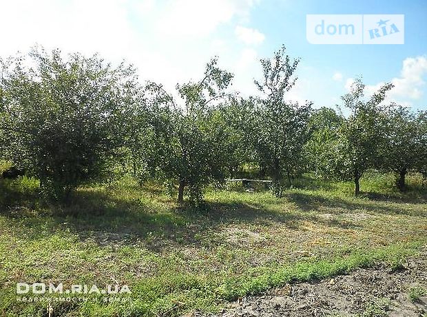 Земельна ділянка під житлову забудову в Олександрівці, площа 14 соток фото 1