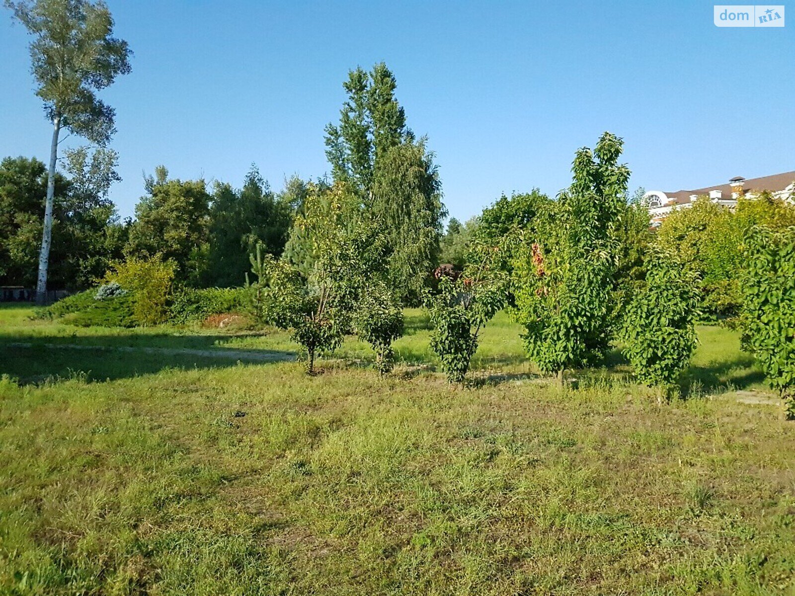 Земельна ділянка під житлову забудову в Обухівці, площа 120 соток фото 1