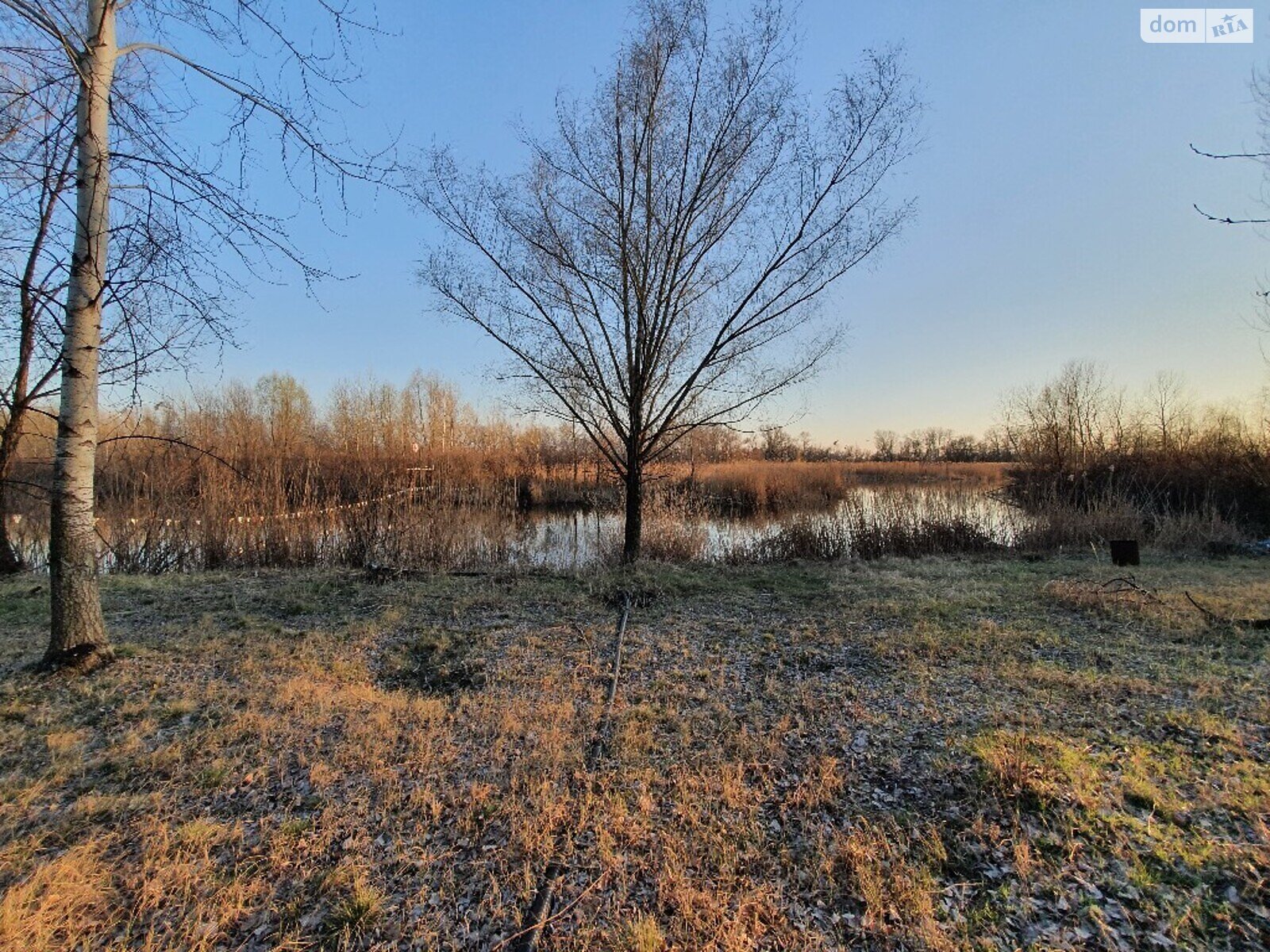 Земельна ділянка під житлову забудову в Обухівці, площа 120 соток фото 1