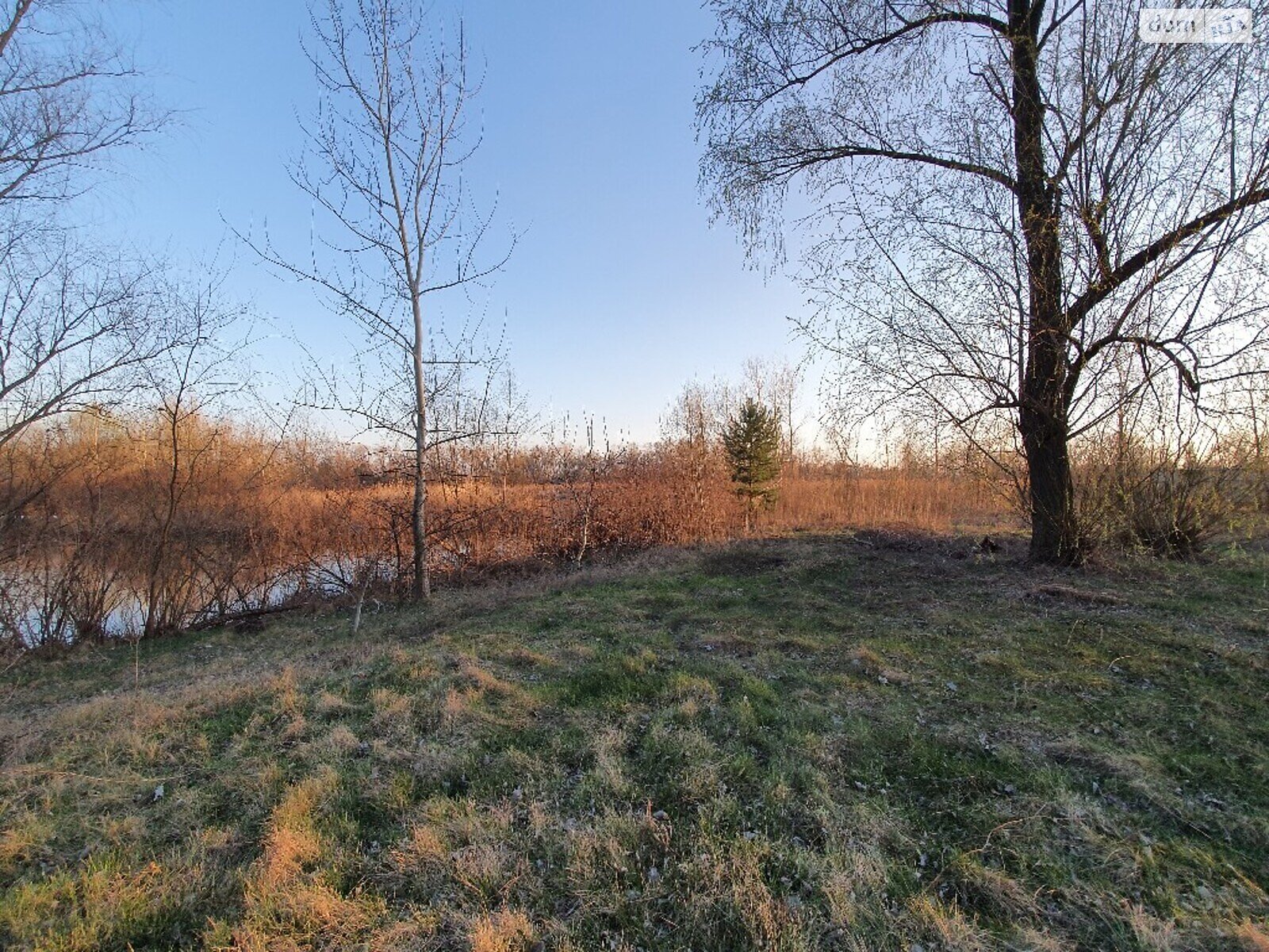 Земельна ділянка під житлову забудову в Обухівці, площа 120 соток фото 1