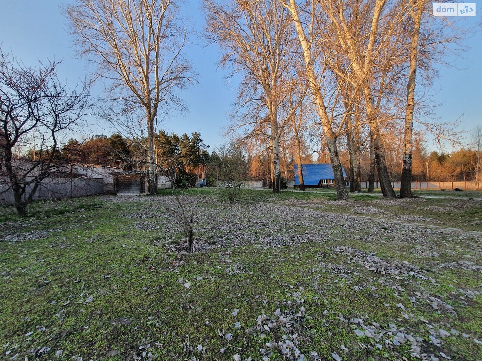 Земельна ділянка під житлову забудову в Обухівці, площа 120 соток фото 1